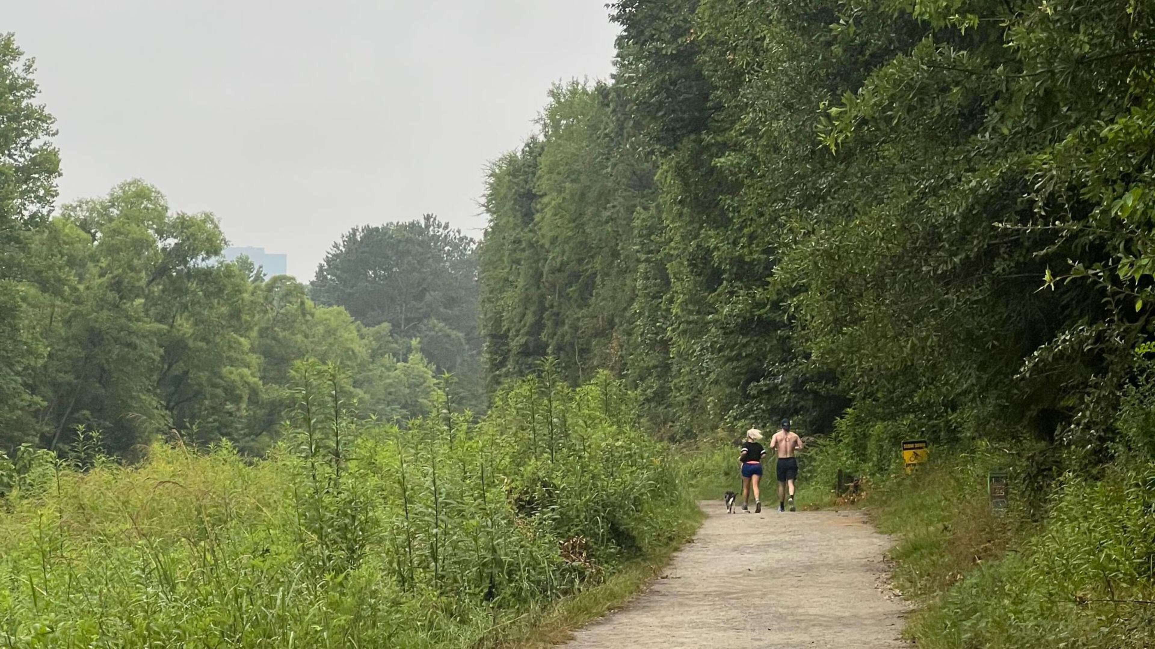 The Chattahoochee National Park Conservancy is encouraging dedicated hikers to experience all 66 miles of designated trails. (Courtesy Chattahoochee National Park Conservancy)