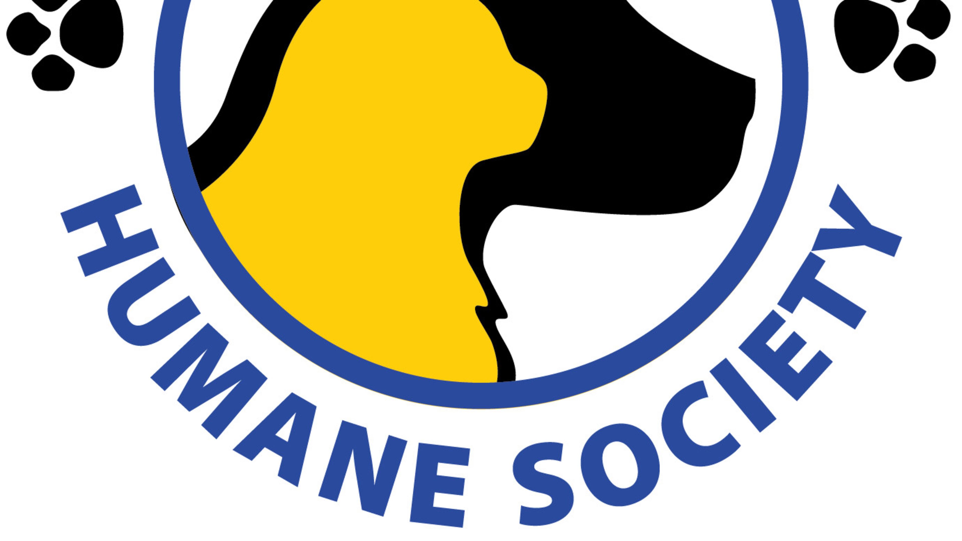 A one-year grant will help provide veterinary care for homeless cats and dogs in Fayette County. Courtesy FHS