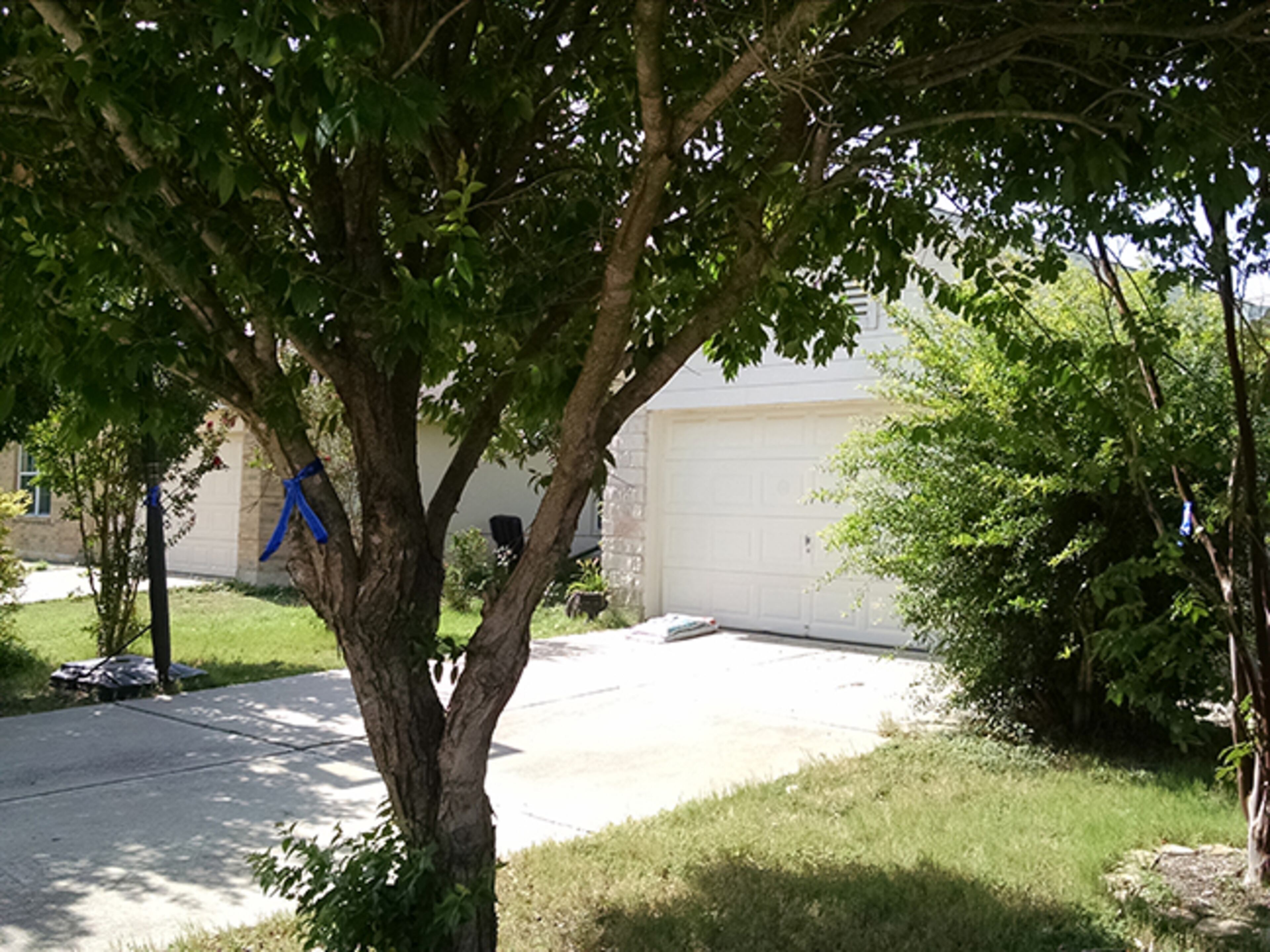 In honor of John Lewis, for all he did - all he was - who he calls us to be ... champions of Democracy. Each and every day. - Kay Williams