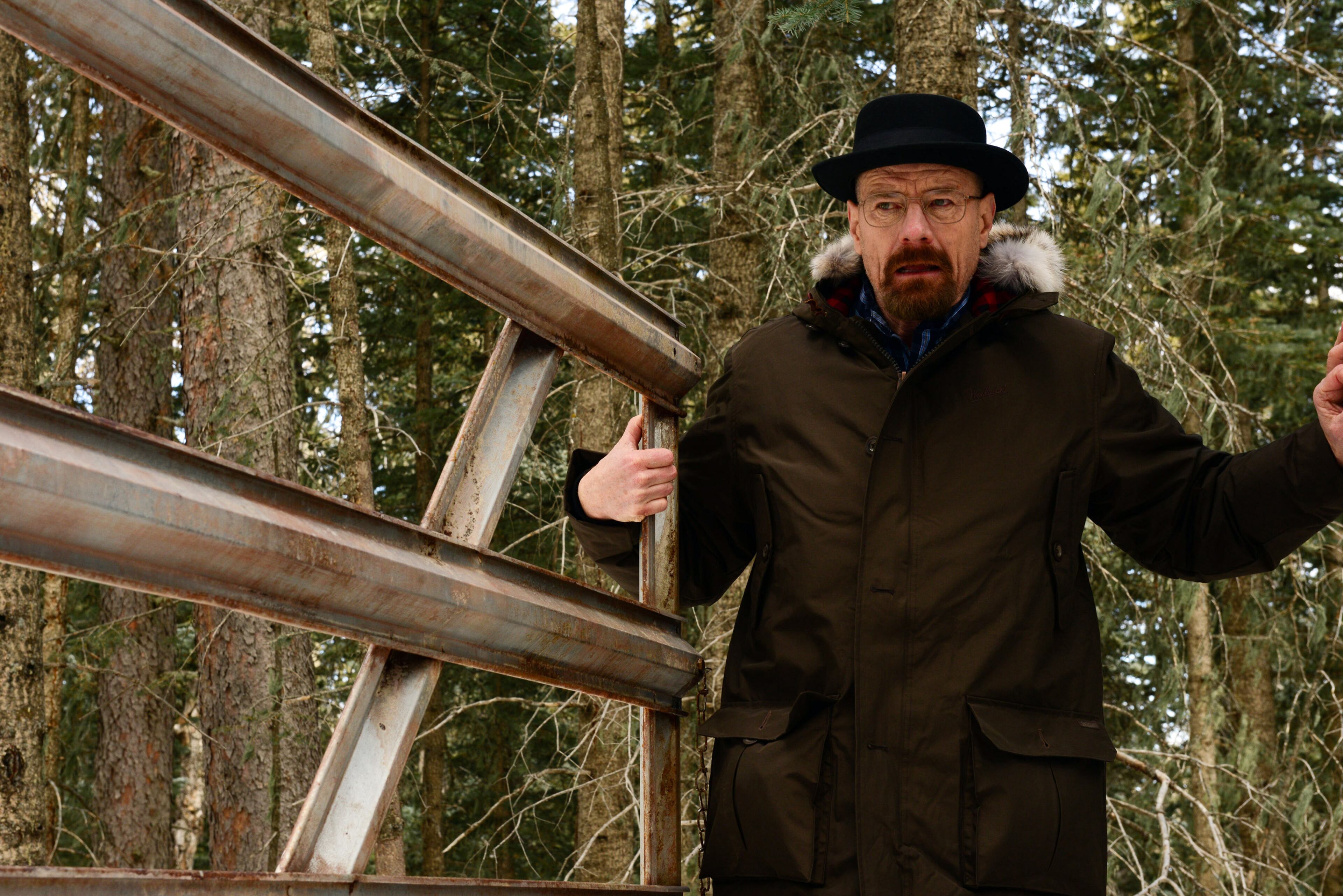 This image released by AMC shows Walter White, played by Bryan Cranston, hiding out in the woods of New Hampshire, in a scene from season five of "Breaking Bad." The series finale of the popular drama series airs on Sunday, Sept. 29.