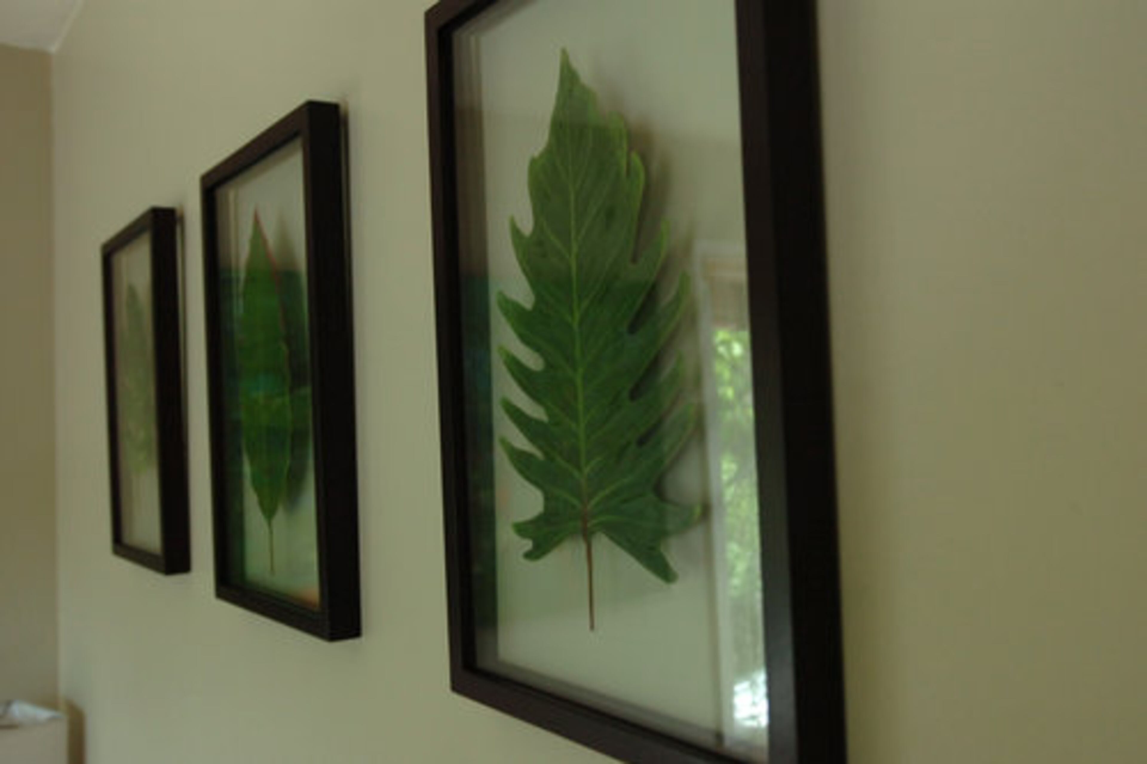 Wall hangings in the master bedroom reflect the couple's love of nature.