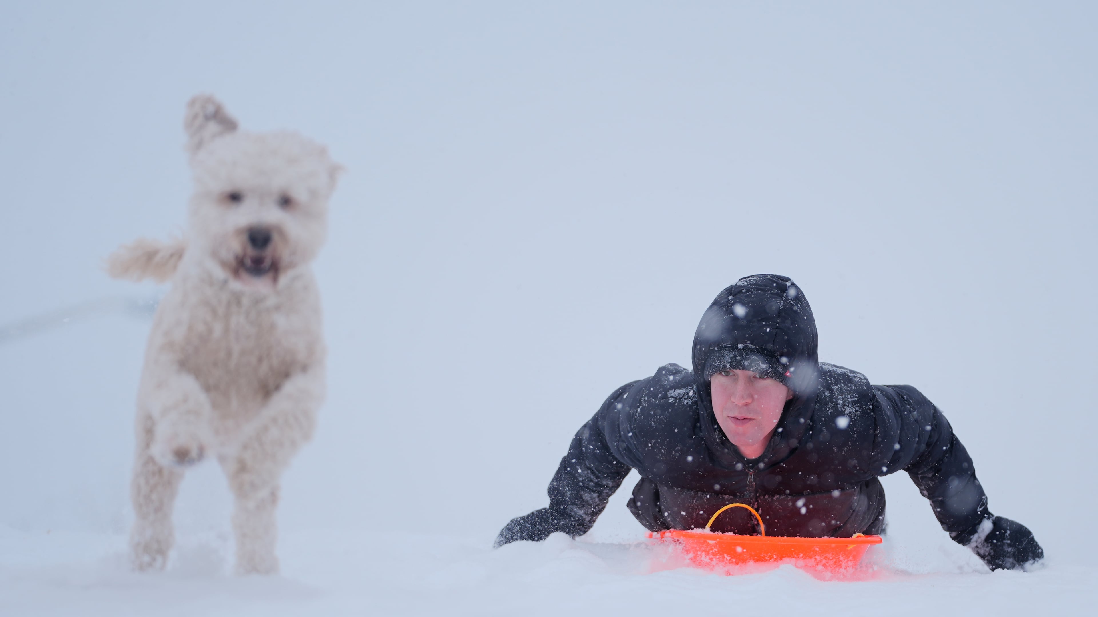 Alex Taylor, 23, and his dog Daisy, make their way down a snowy hill in Charlotte, N.C., Saturday, Jan. 31, 2026. (AP Photo/Erik Verduzco)