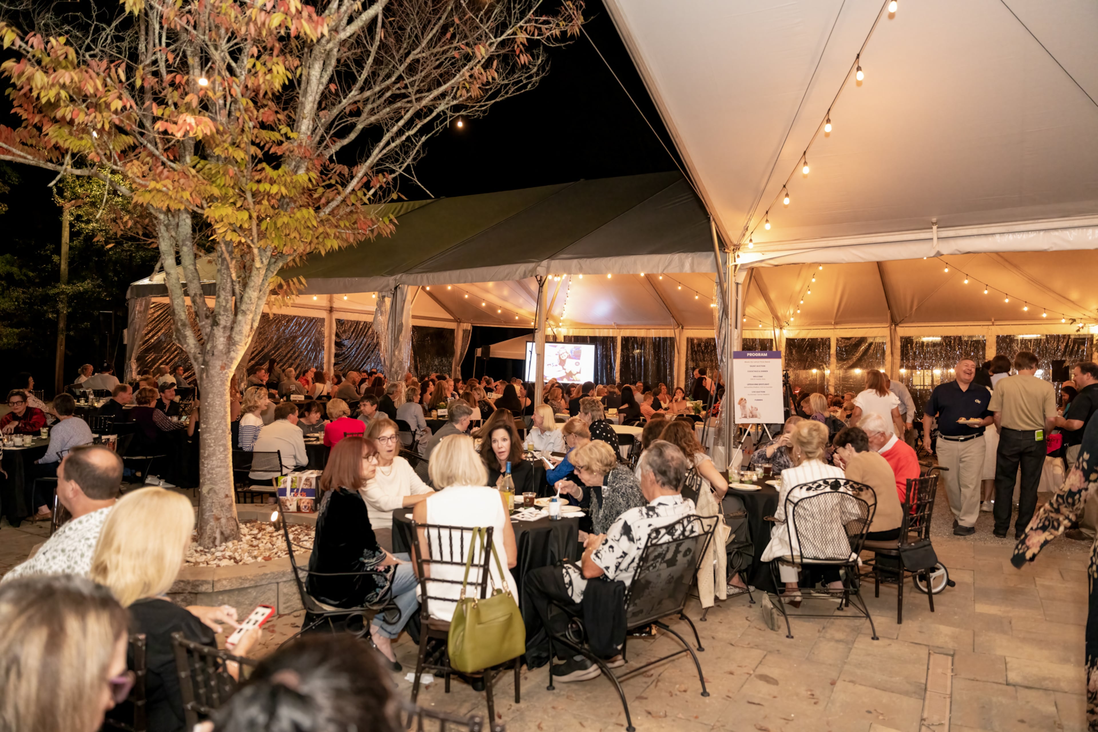 Furkids will hold its annual fundraiser, Paws for Cocktails, this month at its facility in Cumming. (Courtesy of Furkids)