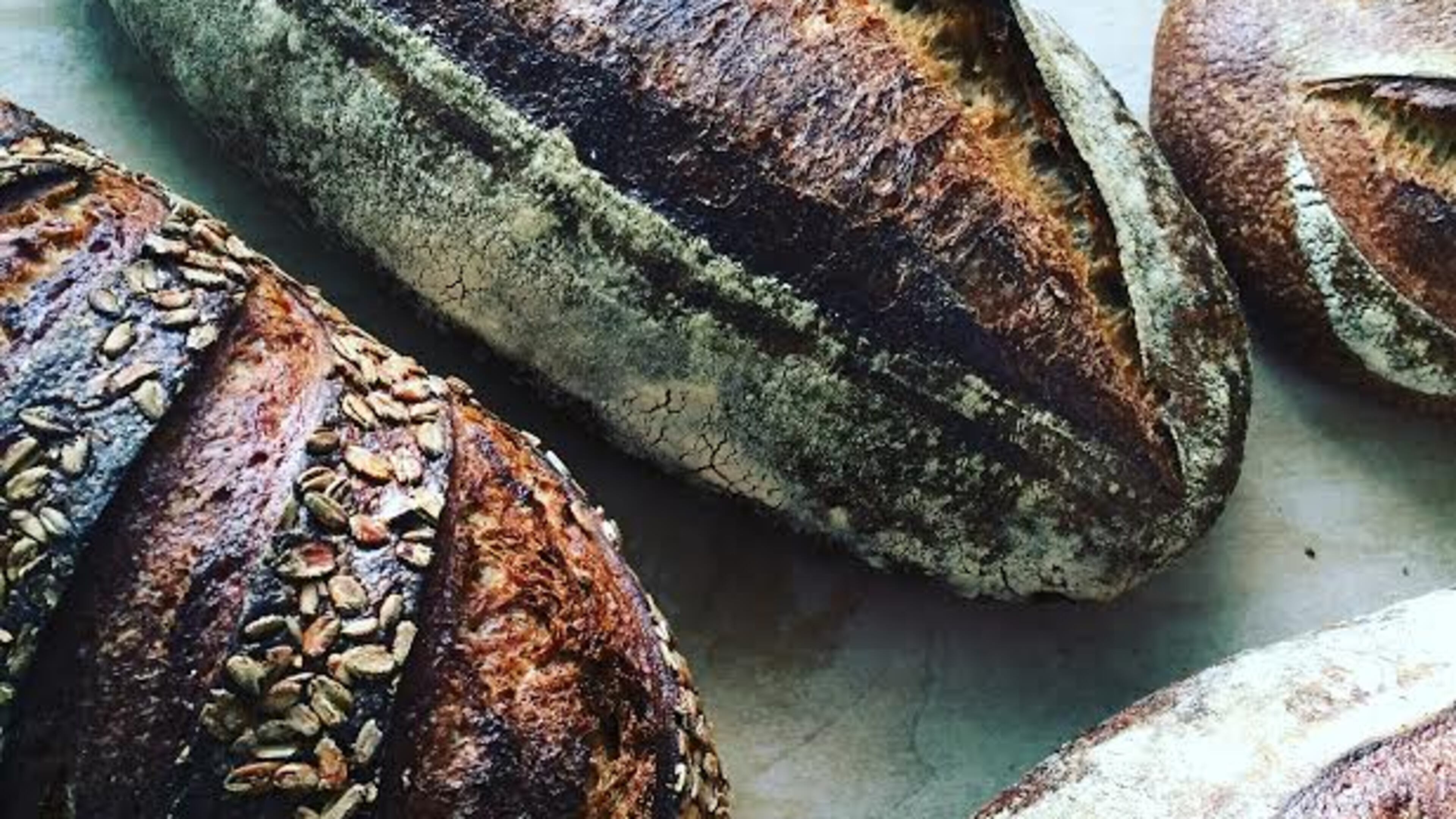 Bread from Root Baking Co. / Photo credit: Nicole Lewis