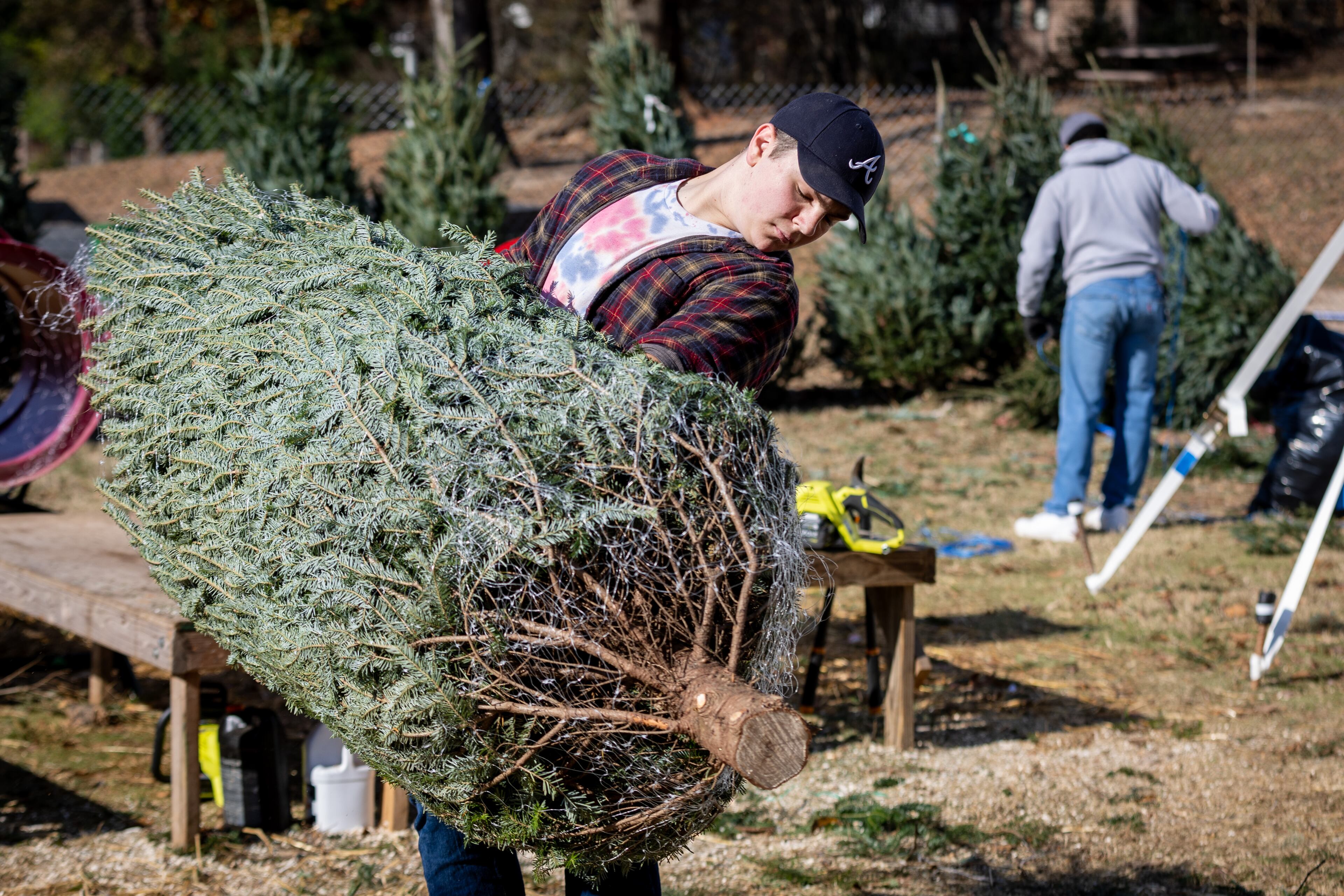 Nick Anthony carries a tree to a customer's car at the Trees For Tuition lot in Virginia Highland on Saturday, November 25, 2023. (Steve Schaefer/steve.schaefer@ajc.com)