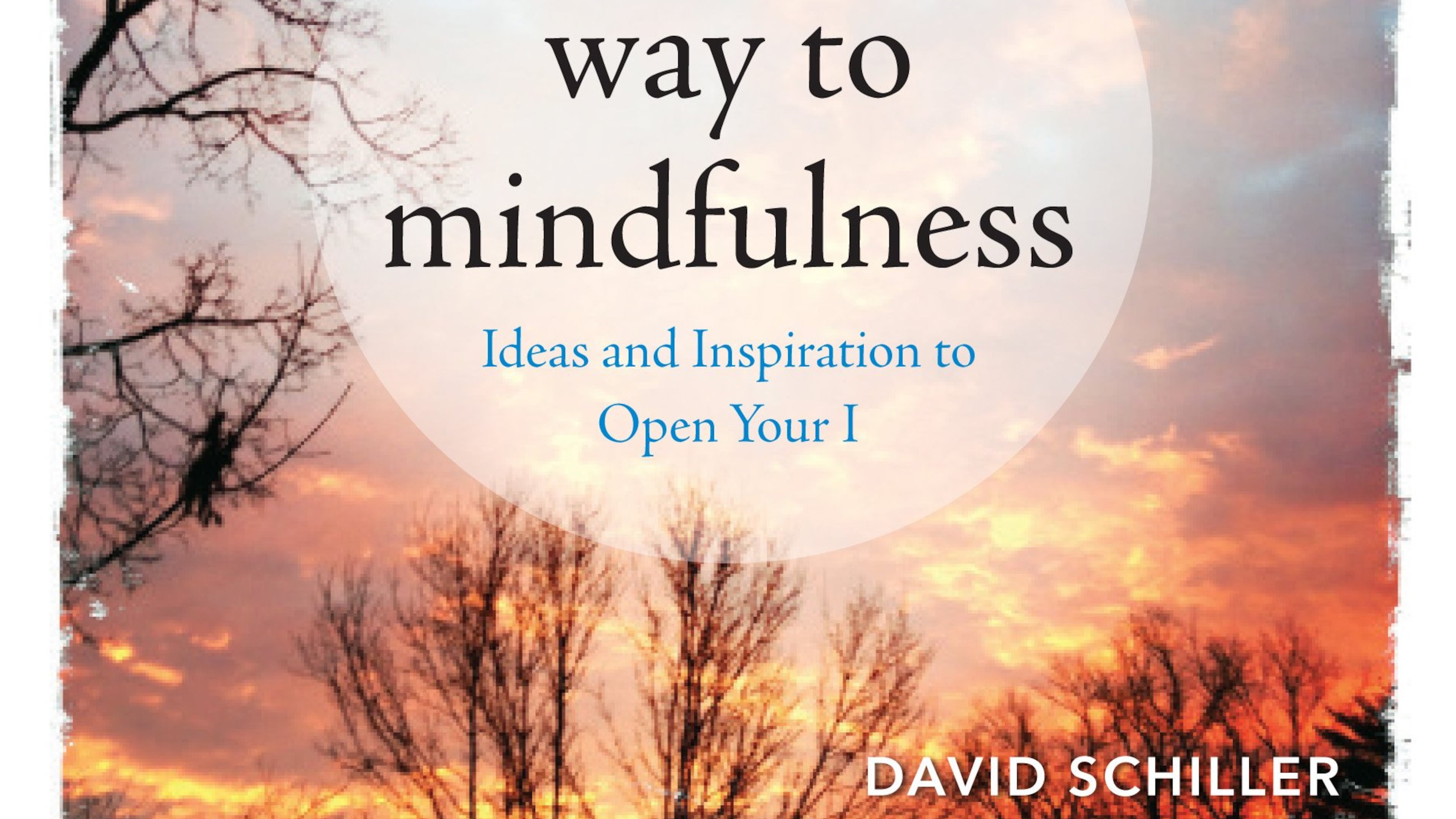 "See Your Way to Mindfulness," by David Schiller