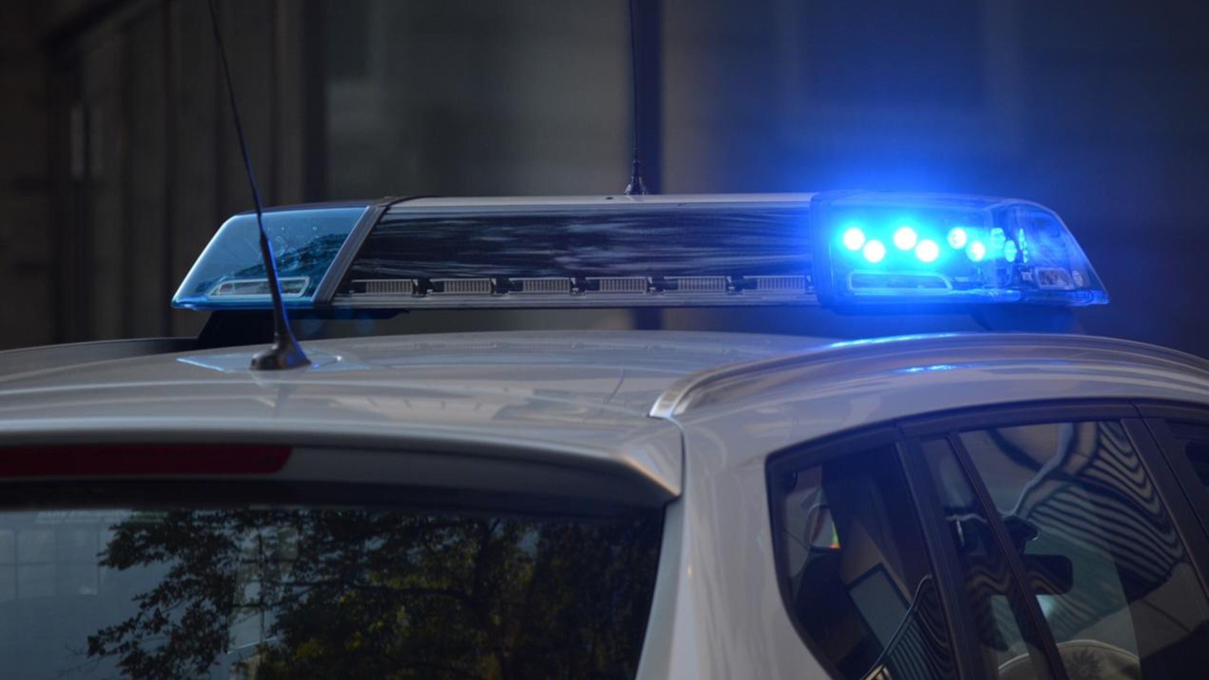 A man tried to break into a California home by crawling through a doggy door at the front of the residence.