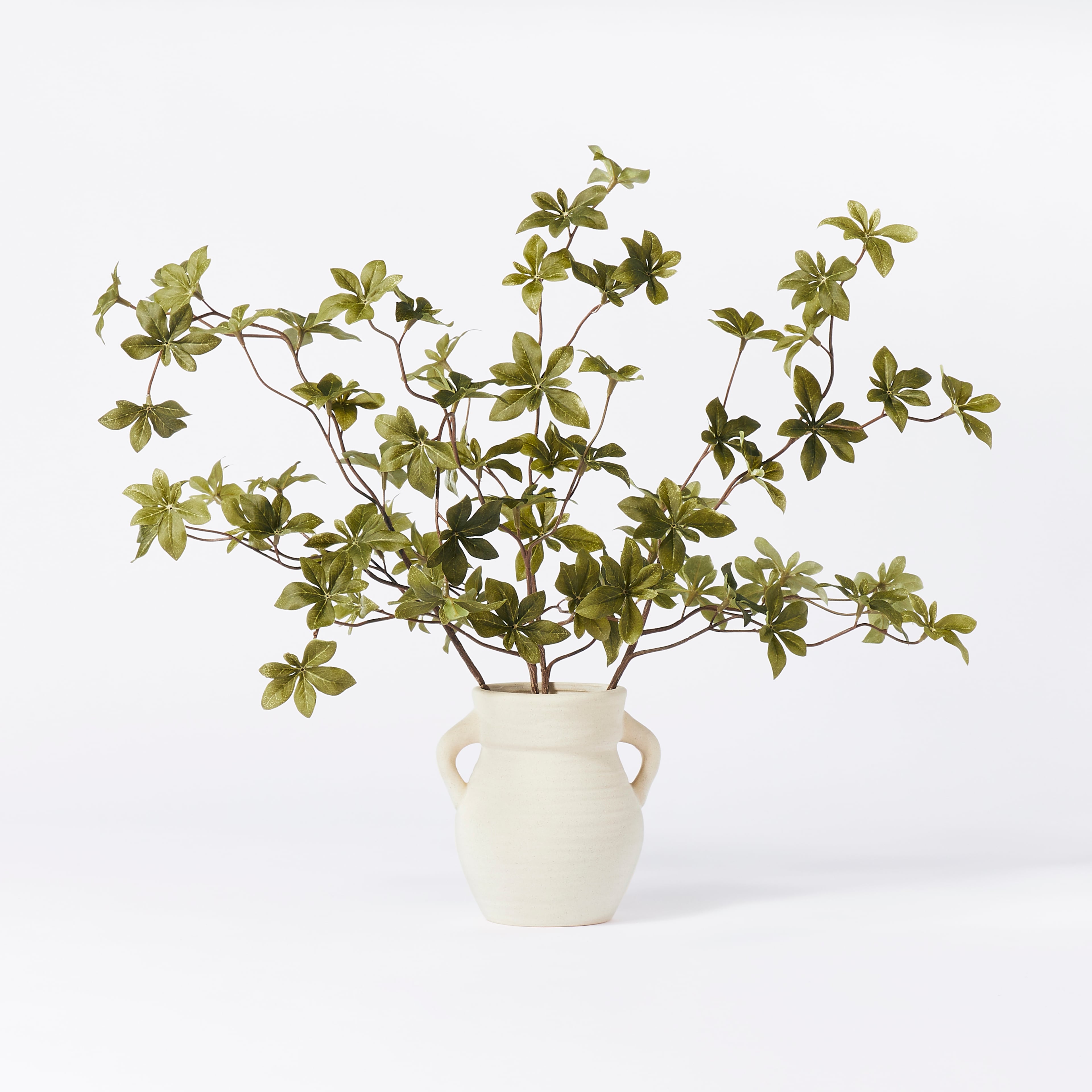 The artificial branch plant arrangement comes from Target. Target.com