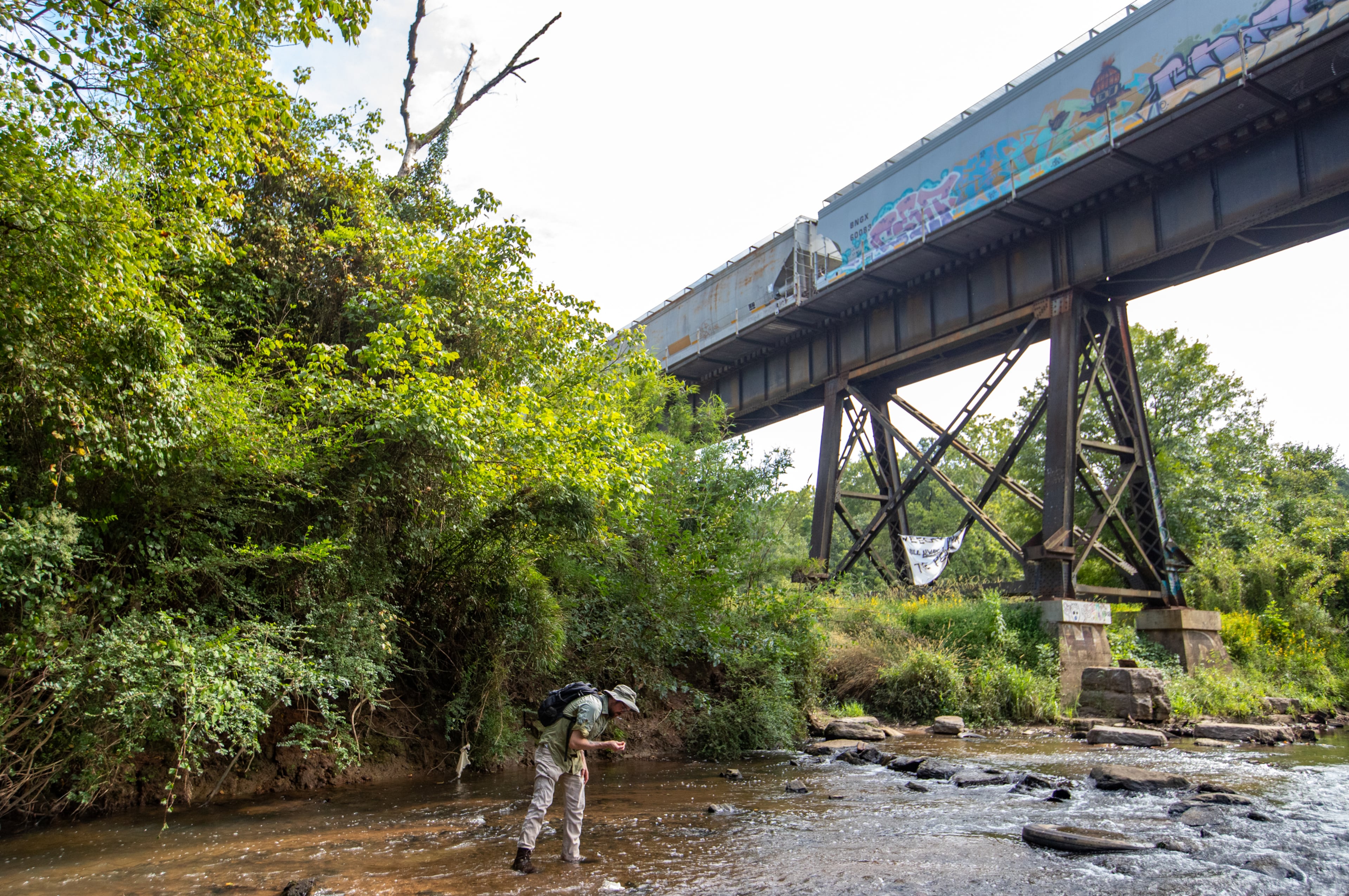 Atlanta is investigating a new fish kill on a different metro area river