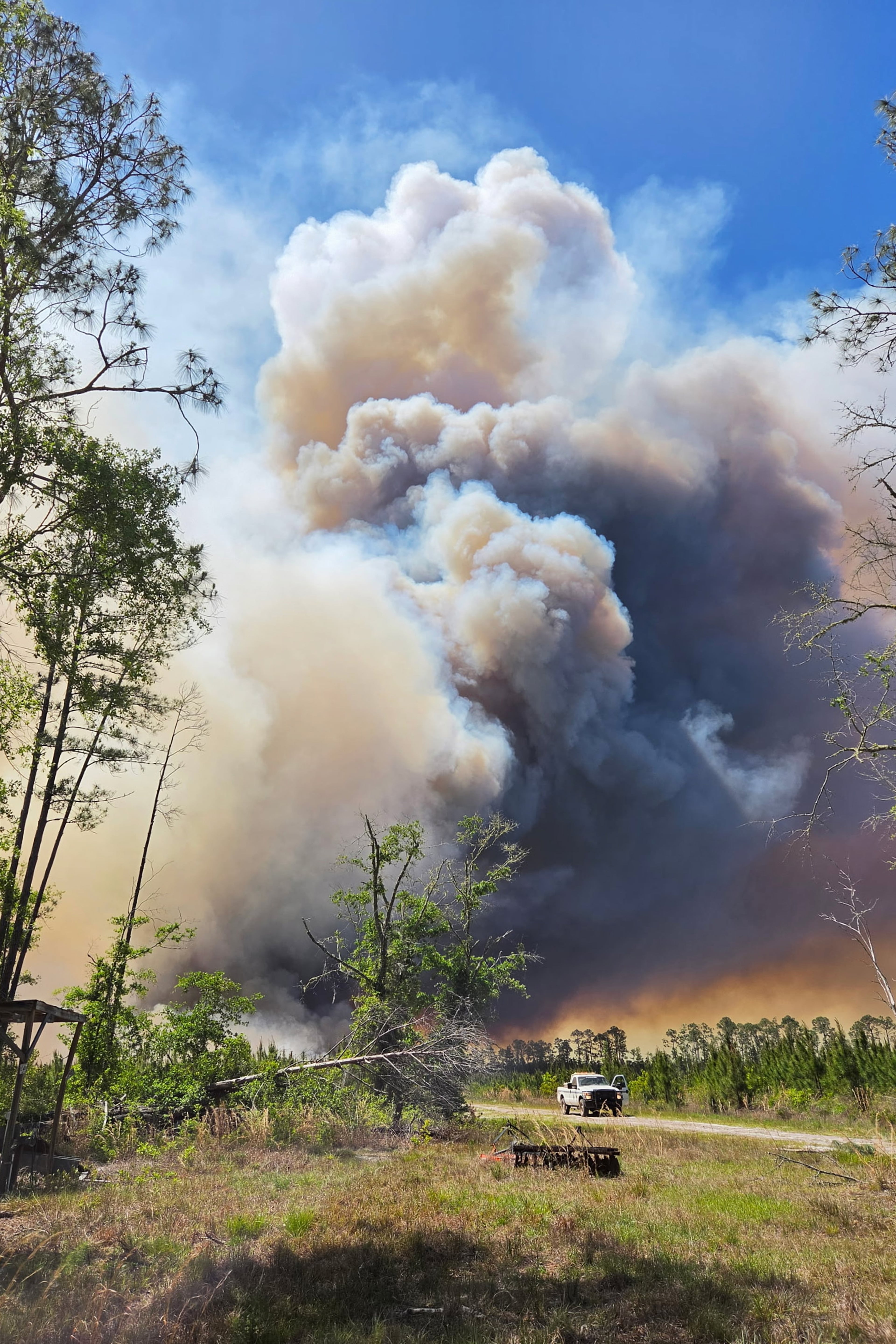 This photo provided by the Georgia Department of Natural Resources shows firefighters responding to the Pineland Road Fire in southeast Georgia on Wednesday, April 22, 2026. (Georgia Department of Natural Resources via AP)