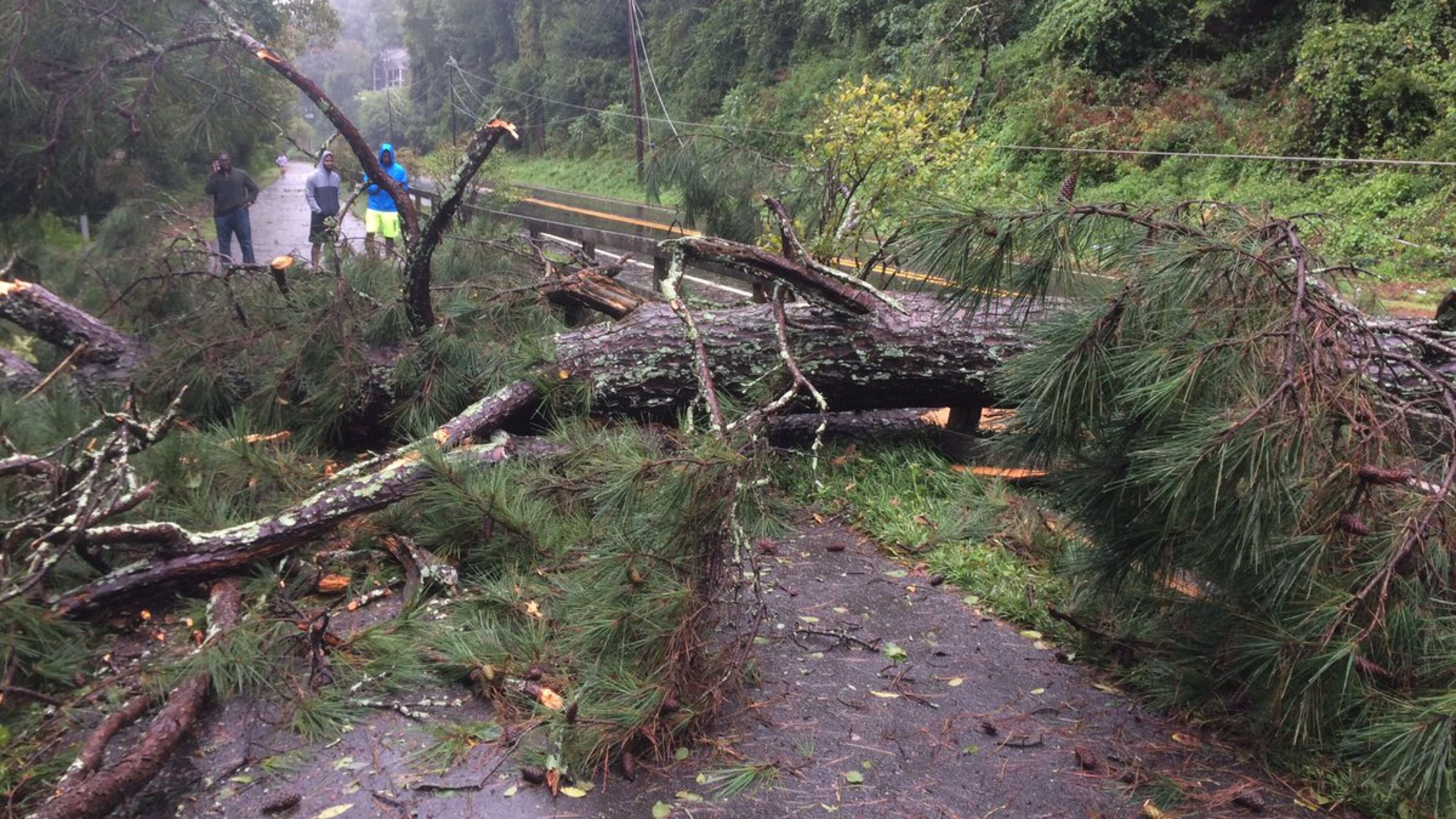 A big tree and some lines down on Azalea Drive in Sandy Springs on Tuesday, Sept. 12, 2017. (MITCHELL NORTHAM/AJC)