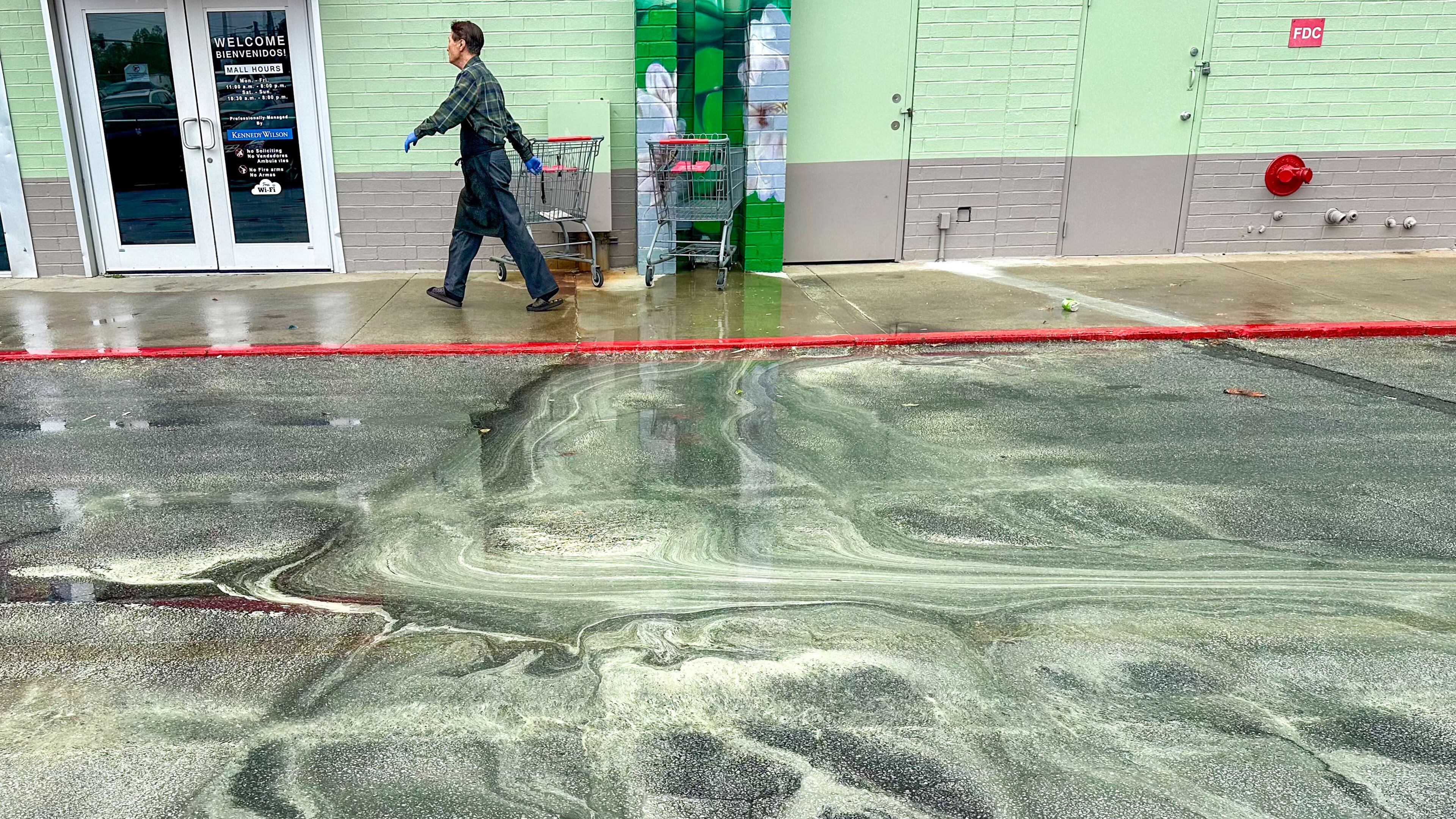 A person walks outside Plaza Fiesta on Buford Highway on Friday, March 22, 2024. This year has brought near-record levels of pollen to metro Atlanta, but a spring rain helps wash some of it out of the air. Miguel Martinez /miguel.martinezjimenez@ajc.com