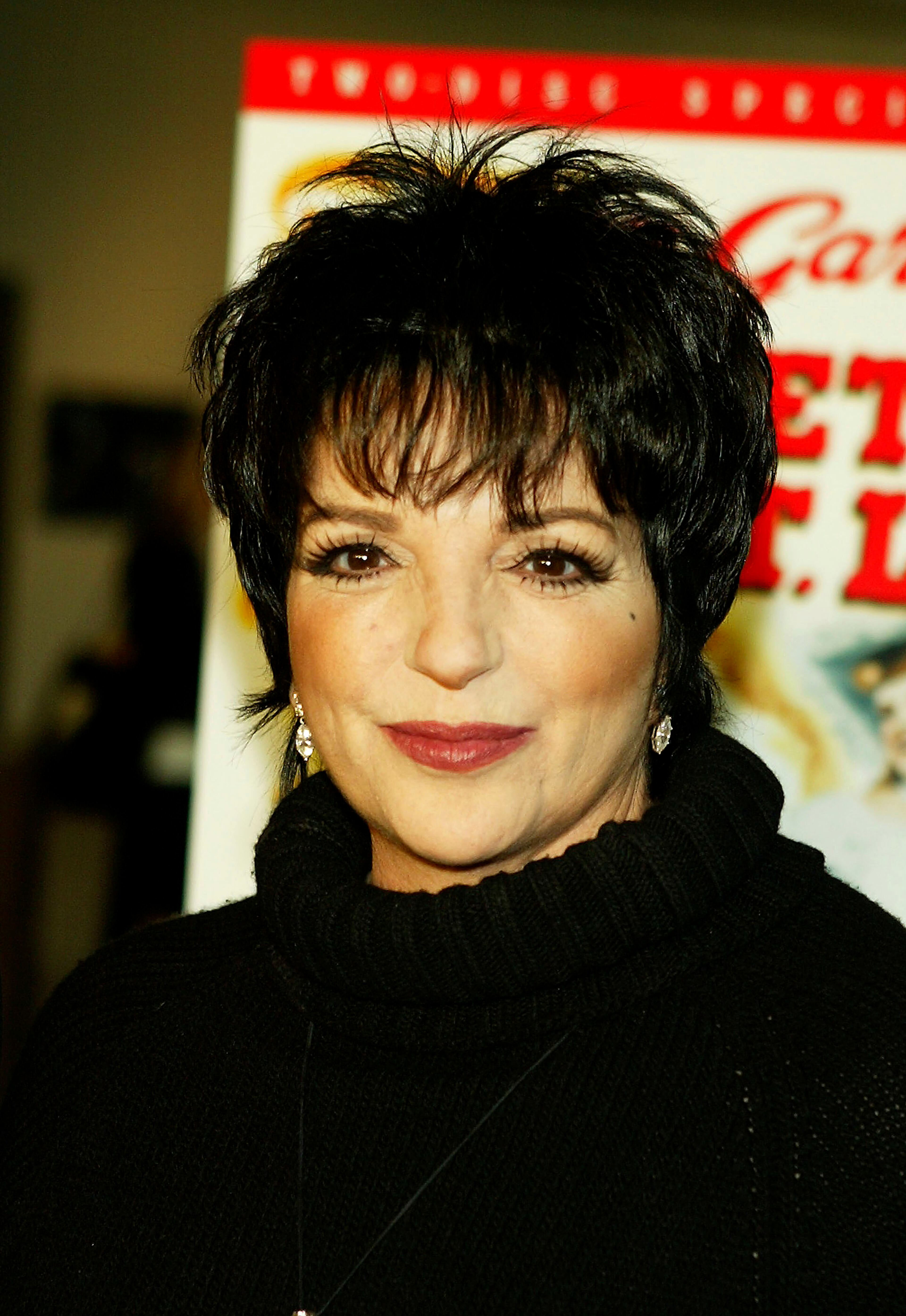 Actress/singer Liza Minnelli appears at Warner Home Video's 60th anniversary DVD release reception and screening of "Meet Me in St. Louis" at the Directors Guild on April 4, 2004 in Los Angeles, California. (Photo by Kevin Winter/Getty Images)
