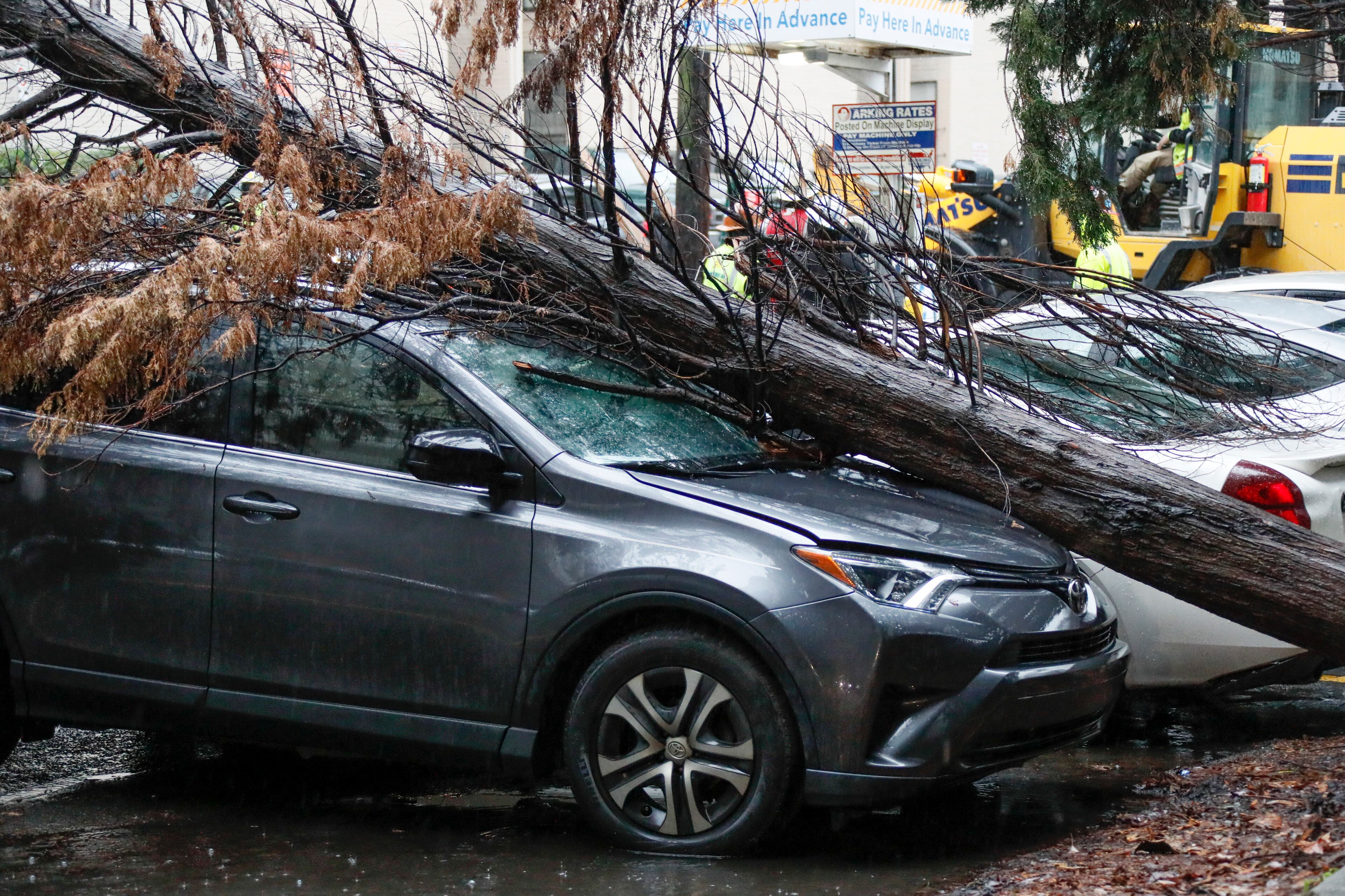 A fallen tree damaged a car in a parking lot on 13th street in Atlanta this morning. Thousands were without power across North Georgia, with downed trees and localized flooding. Bob Andres / bandres@ajc.com
