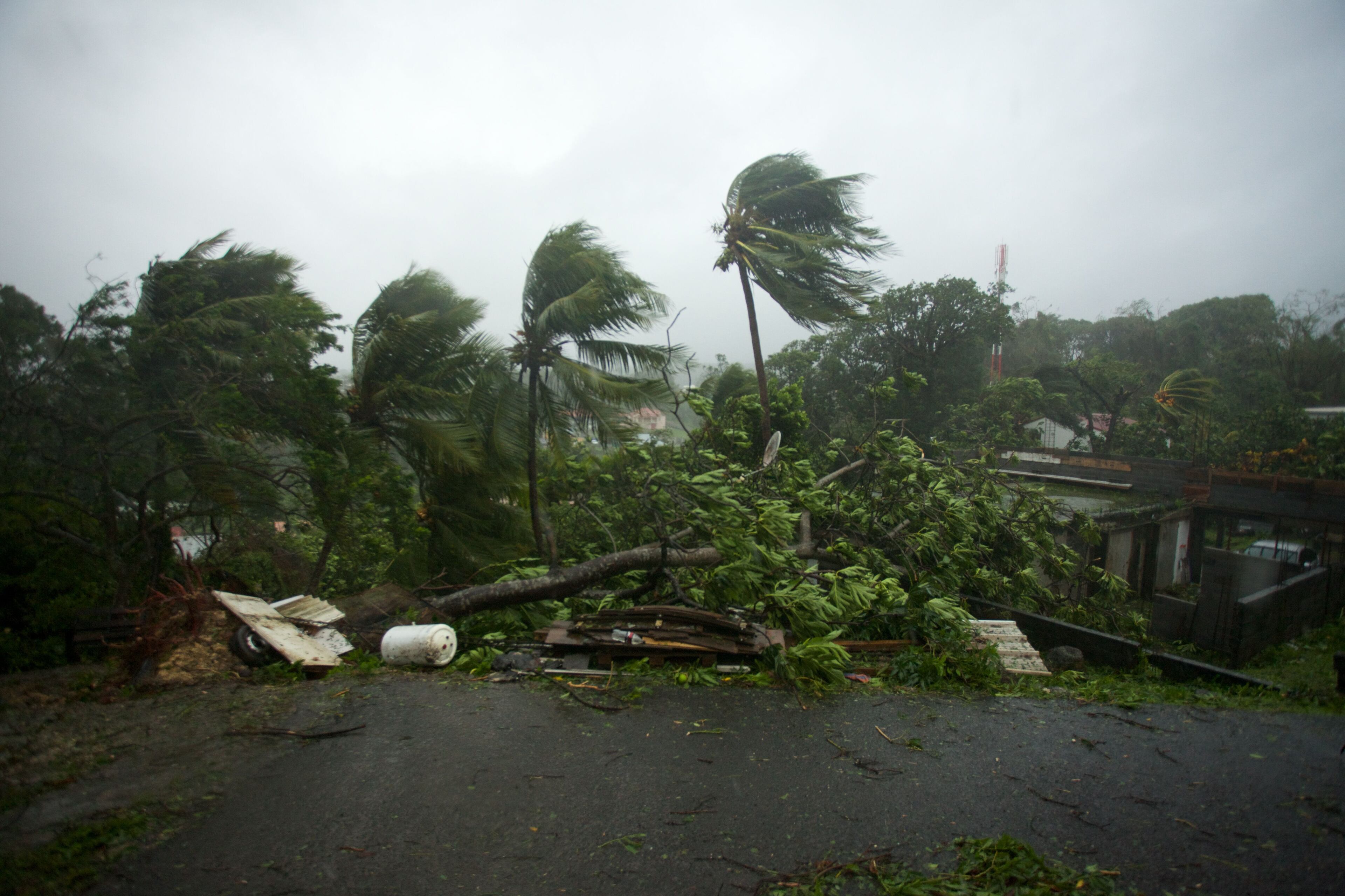 A picture taken on September 19, 2017 shows the powerful winds and rains of hurricane Maria battering the city of Petit-Bourg on the French overseas Caribbean island of Guadeloupe.
Hurricane Maria strengthened into a "potentially catastrophic" Category Five storm as it barrelled into eastern Caribbean islands still reeling from Irma, forcing residents to evacuate in powerful winds and lashing rain. / AFP PHOTO / Cedrik-Isham Calvados /
(Photo credit should read CEDRIK-ISHAM CALVADOS/AFP/Getty Images)