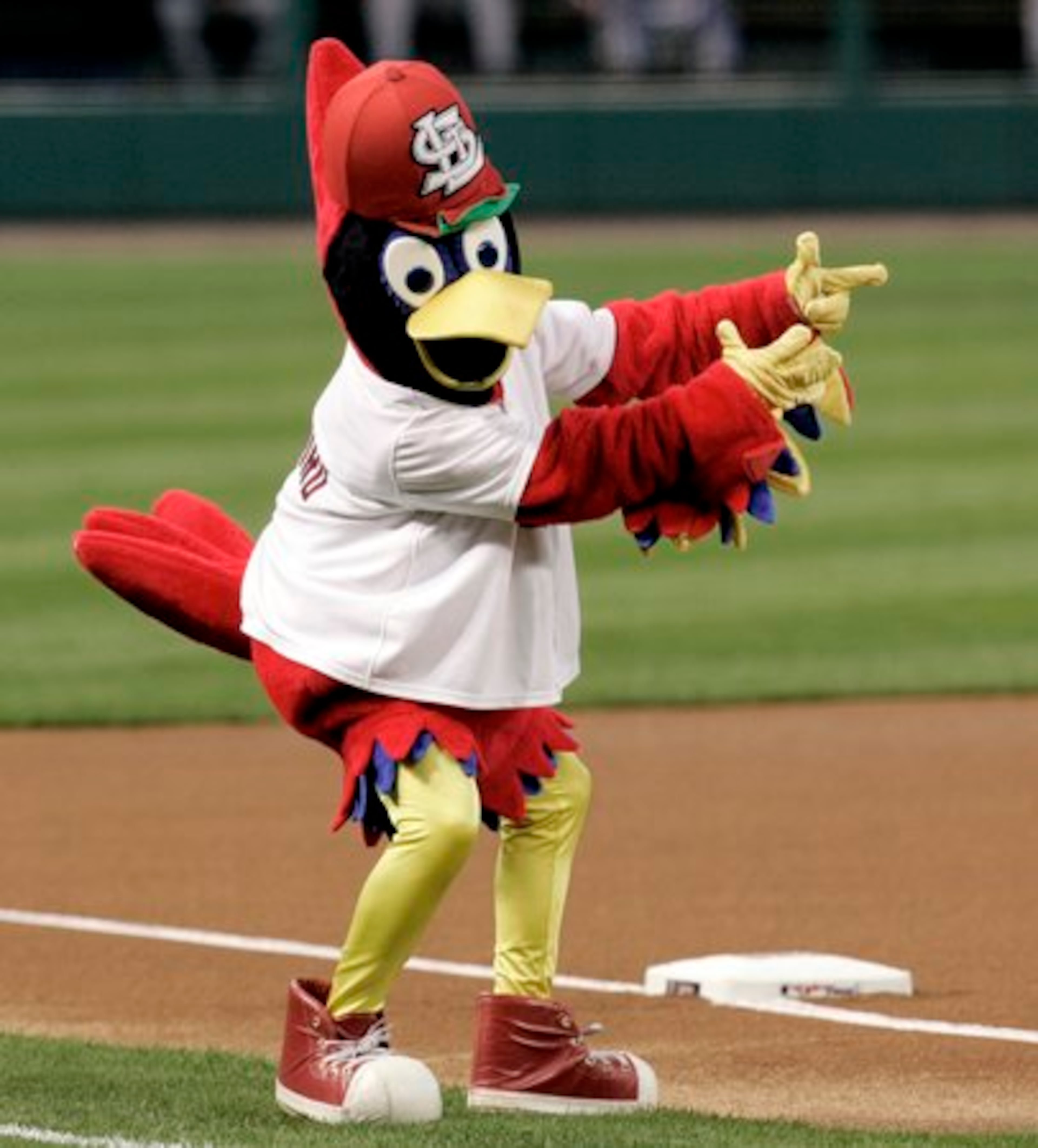 Fredbird was introduced as the mascot of the St. Louis Cardinals in 1979.