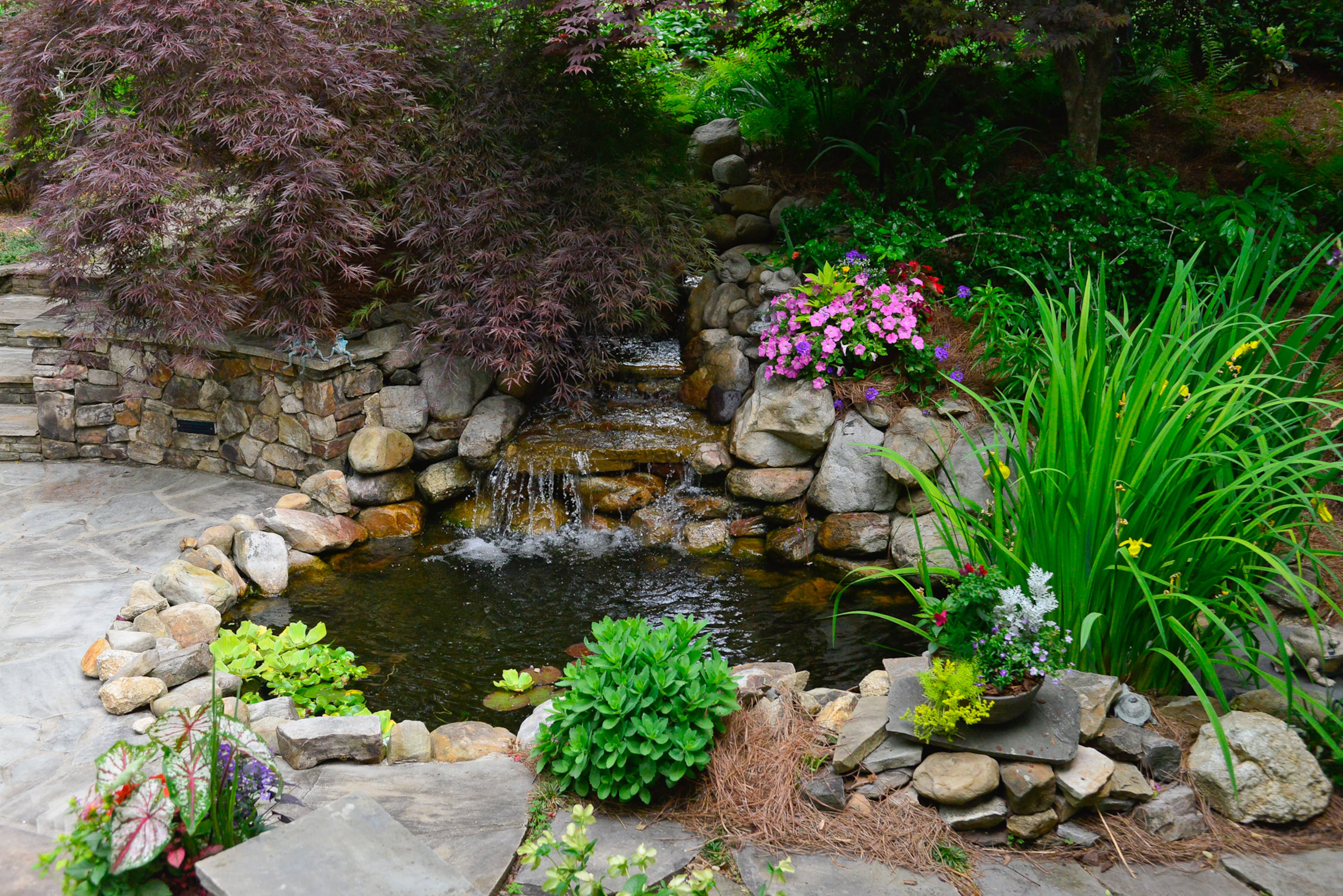 A waterfall and pond grace one side of a circular stone patio outside the front door of the Roswell home. "Most people don't bring you up to the front door with a pond. The pond is in the back, " says homeowner and builder Judy Mozen. "We recreated a circular type of patio in the front with a pond."