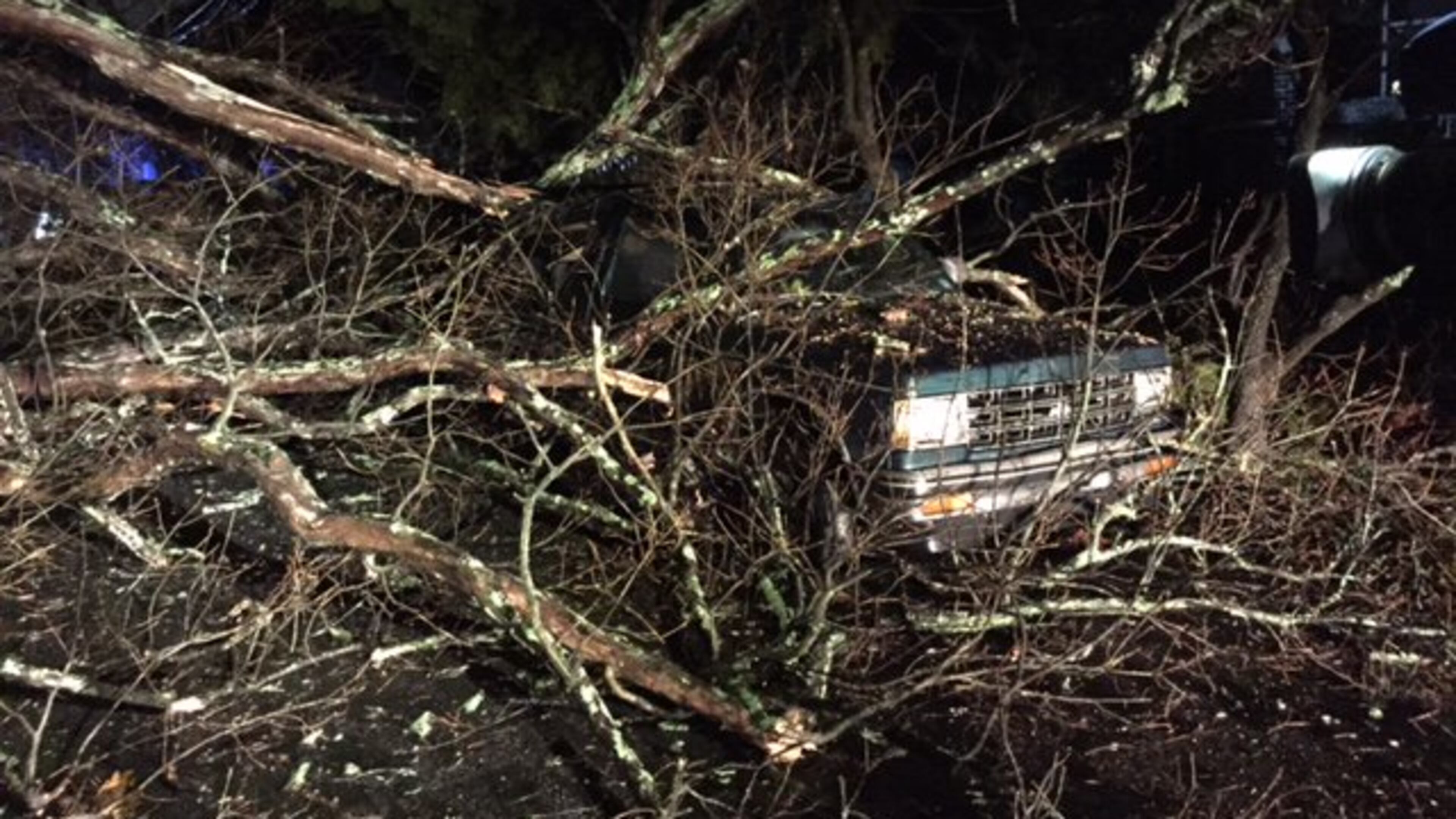 The heaviest weather struck south of the metro area, but a massive tree crashed to earth in East Point, damaging a house and several cars. (WSB-TV)