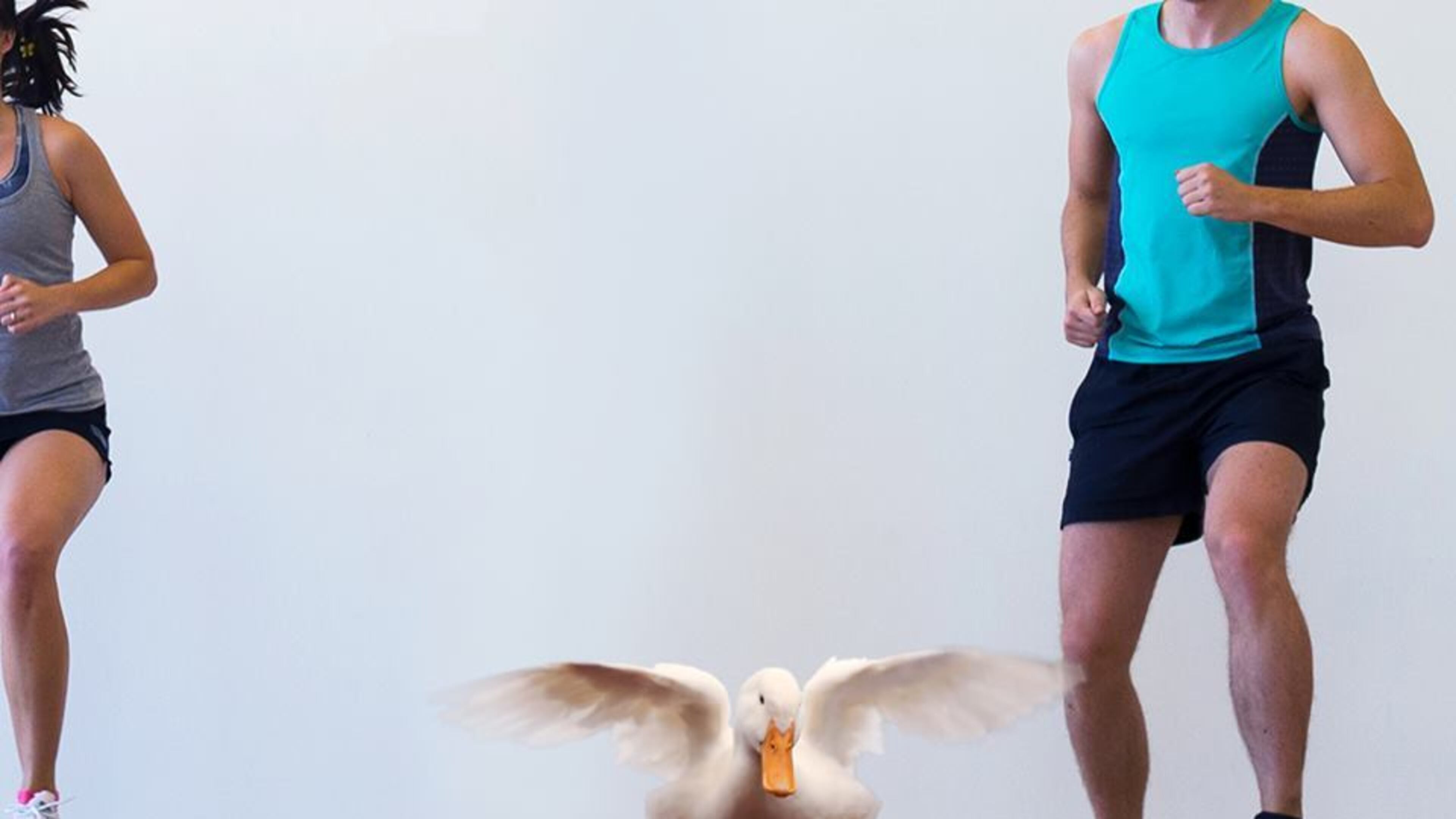 Aflac Insurance is more than a duck doing aerobics; it's a great company to work for.