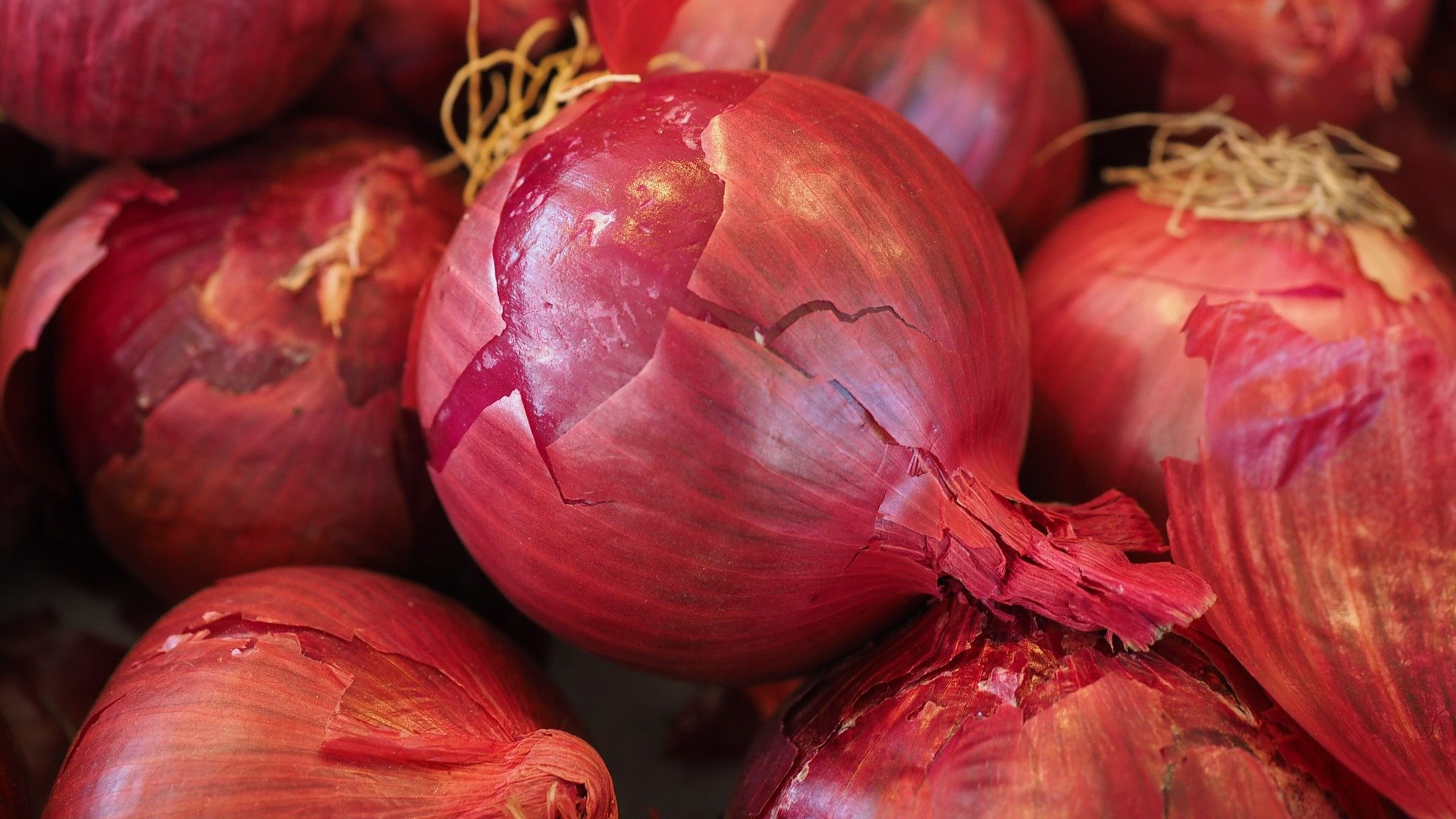 A salmonella outbreak has been traced to red onions from Thomson International, according to the FDA and CDC.