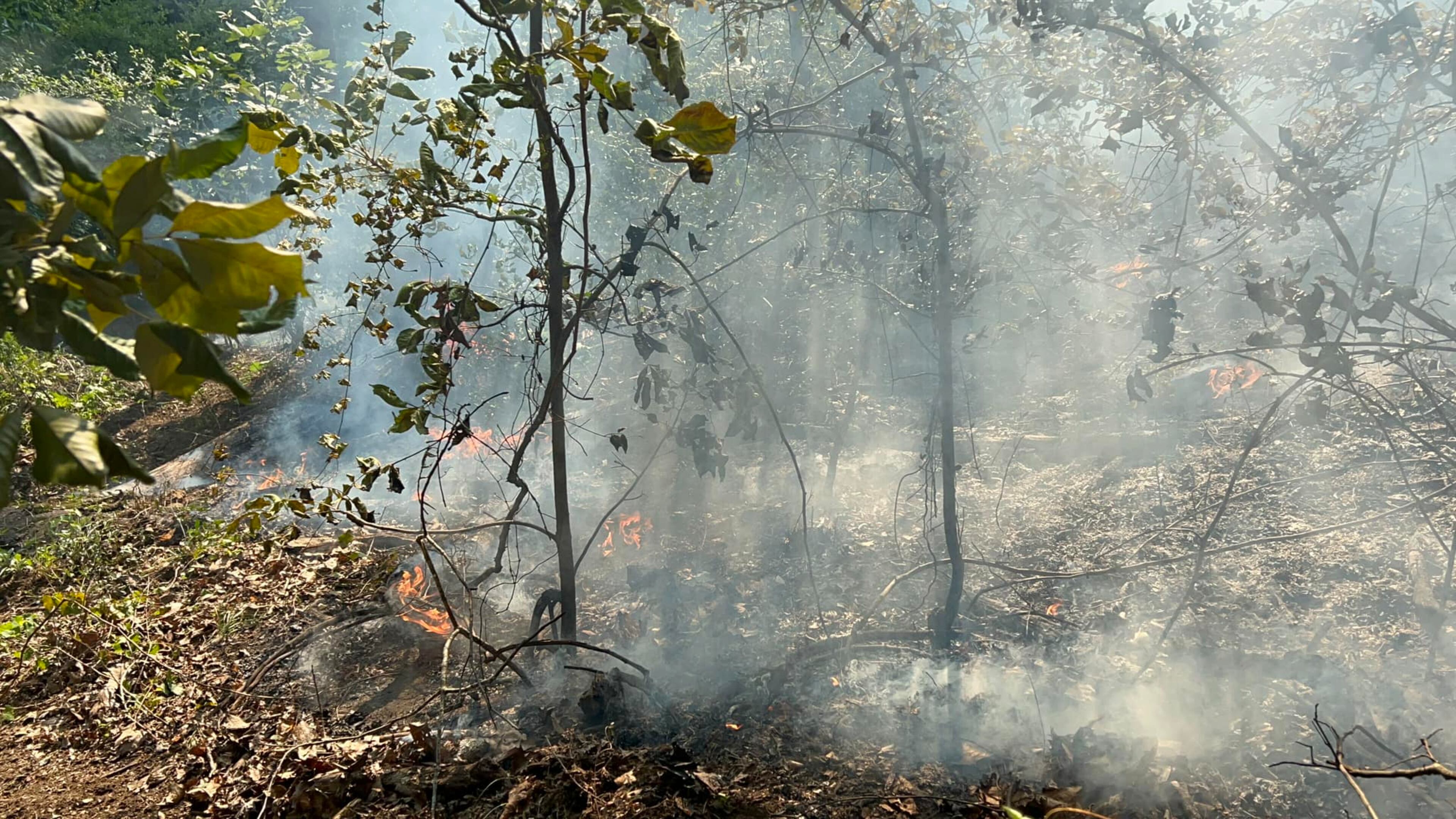 Several agencies were at the scene of a brush fire near the Roswell Mill dam Wednesday evening.