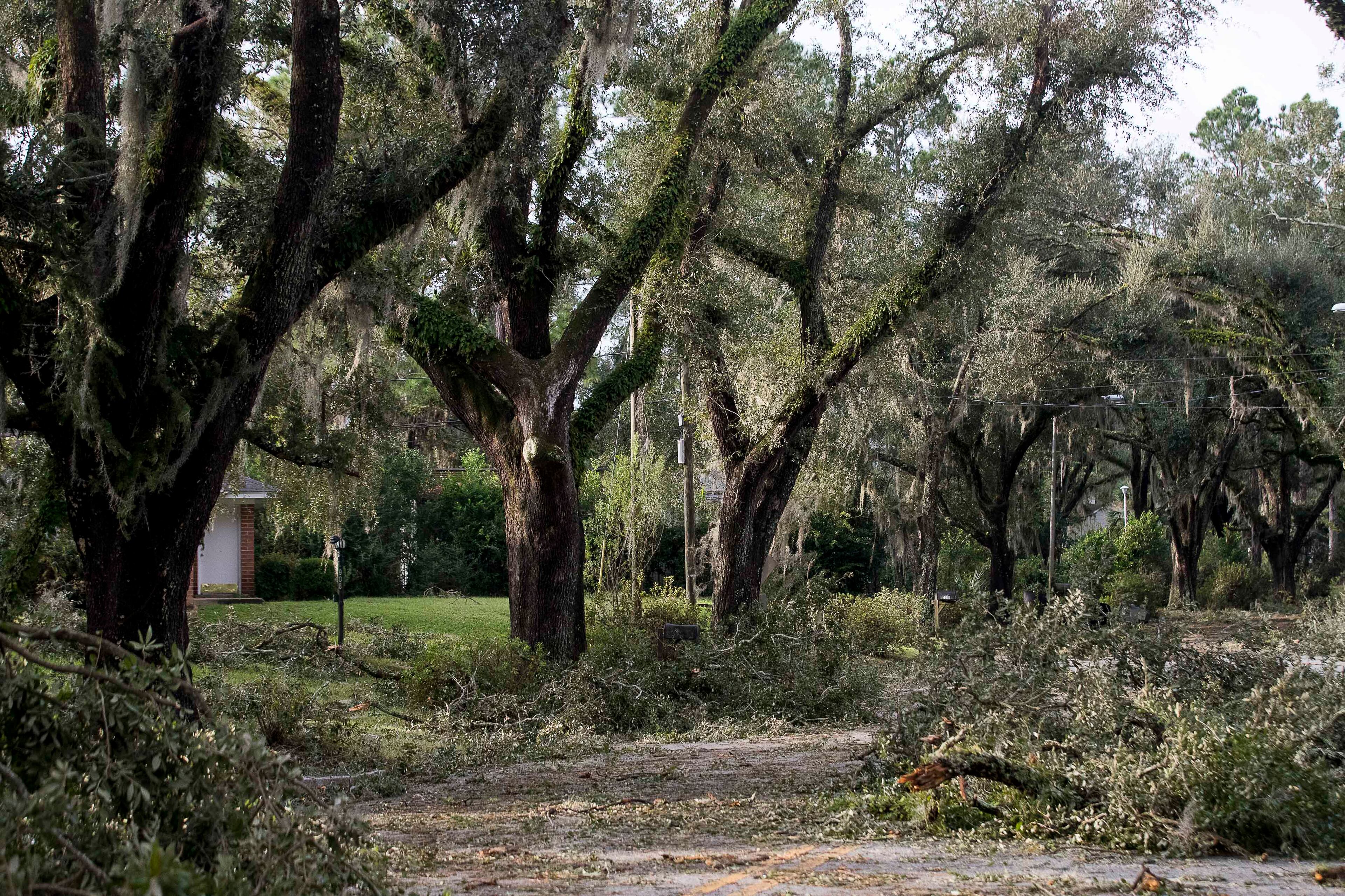 10/11/2018 -- Albany, Georgia -- Tree limbs line a street in Albany after Hurricane Michael passed through the city, Thursday, October 11, 2018. (ALYSSA POINTER/ALYSSA.POINTER@AJC.COM)