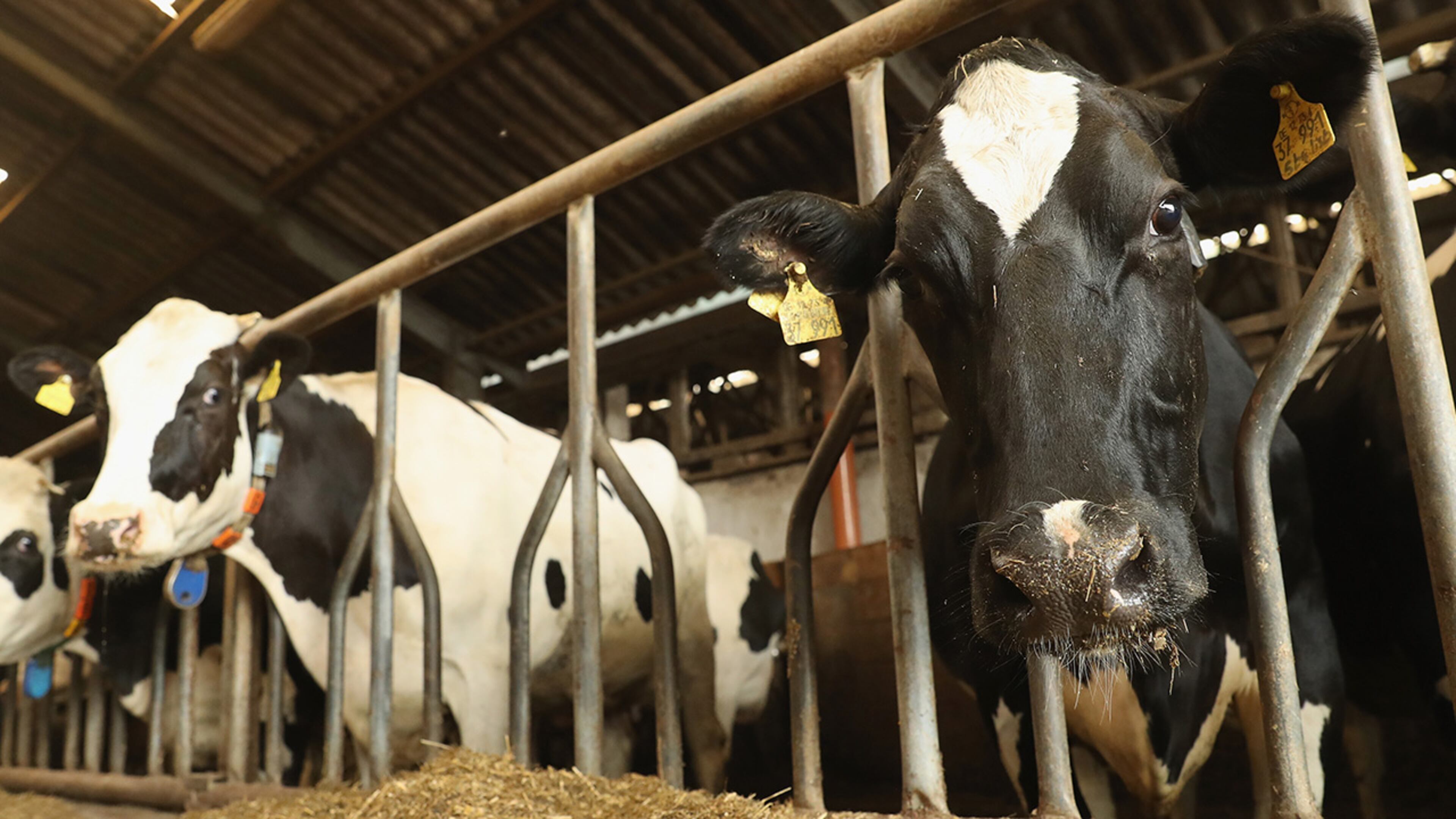 (Getty file photo by Sean Gallup/Getty Images)