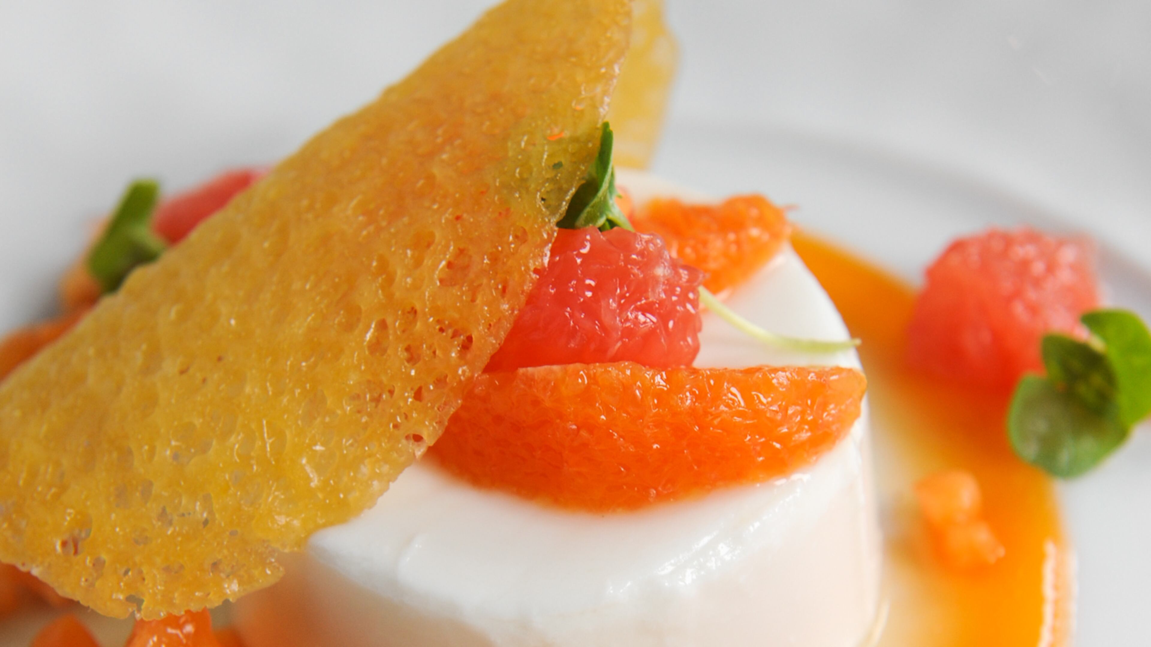 150305-ATLANTA-GA- John Kessler's restaurant review of Atlas, inside the Buckhead St. Regis, on Thursday March 5, 2015. FOOD: Coconut Panna Cotta- Coconut -Almond Milk Custard, Citrus Fruits, Papaya Coulis, Coconut Crisp.(www.Beckysteinphotography.com) Coconut panna cotta