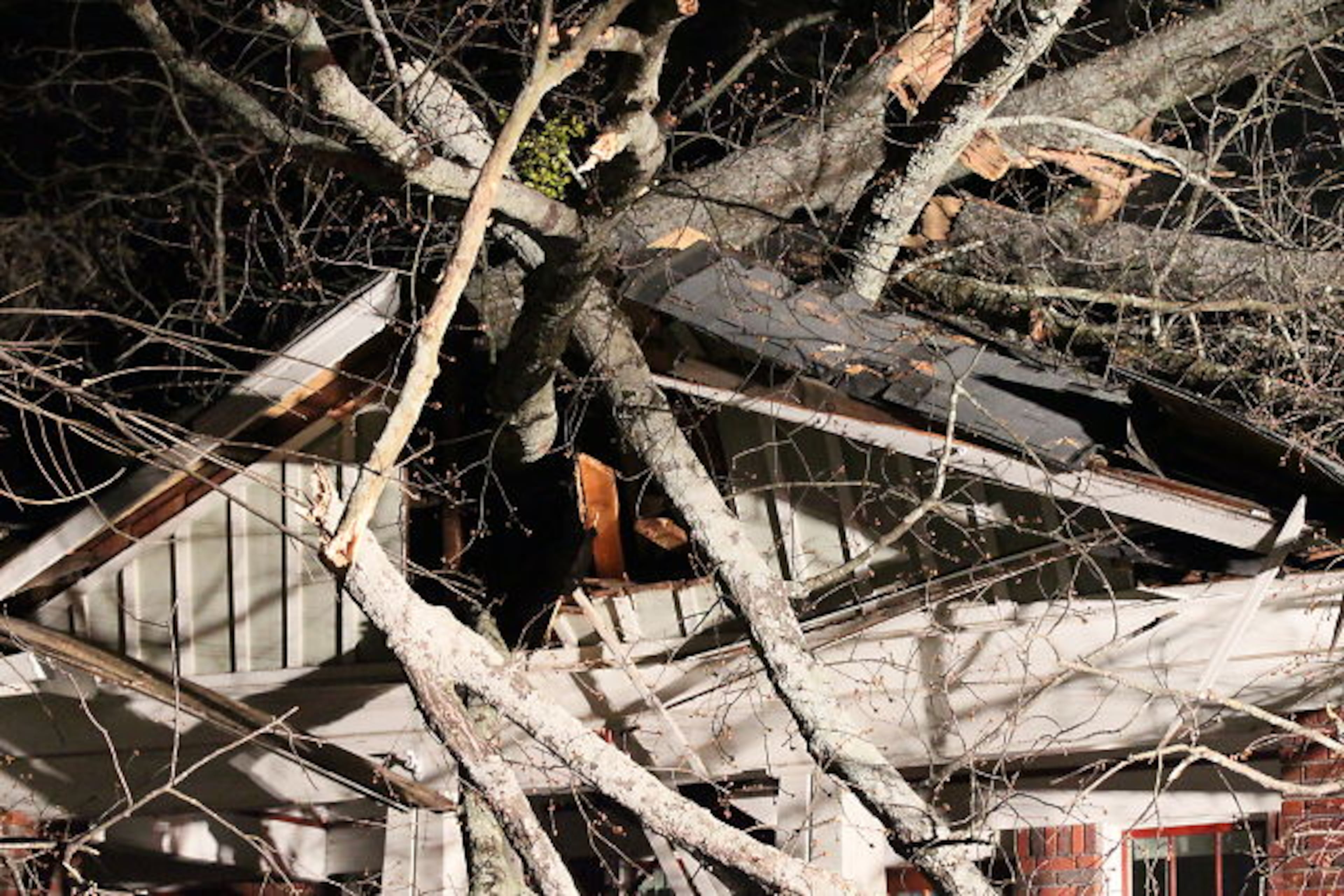 There were two people and their pets inside the home in the 700 block of South McDonough Street when the tree toppled around 5 a.m., according to Decatur fire Lt. Roman Ridgway.