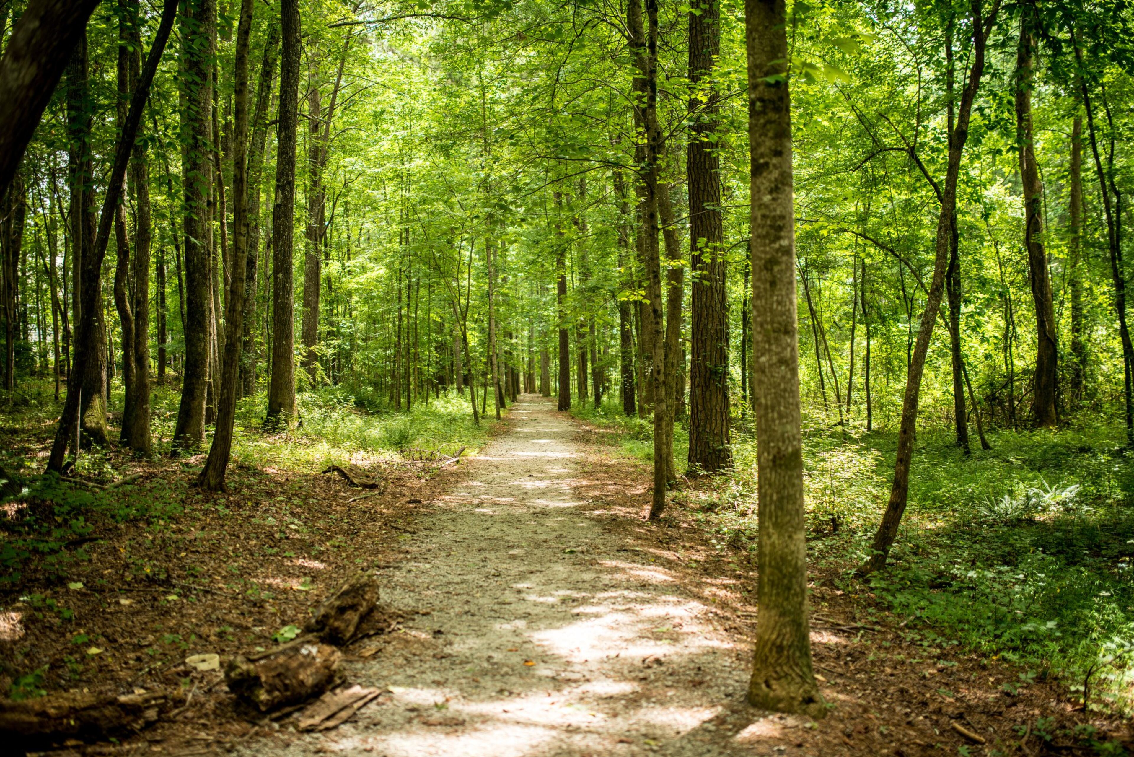 The Serenbe community in Chattahoochee Hills offers plenty of space for social distancing. CONTRIBUTED BY MIA YAKEL PHOTOGRAPHY