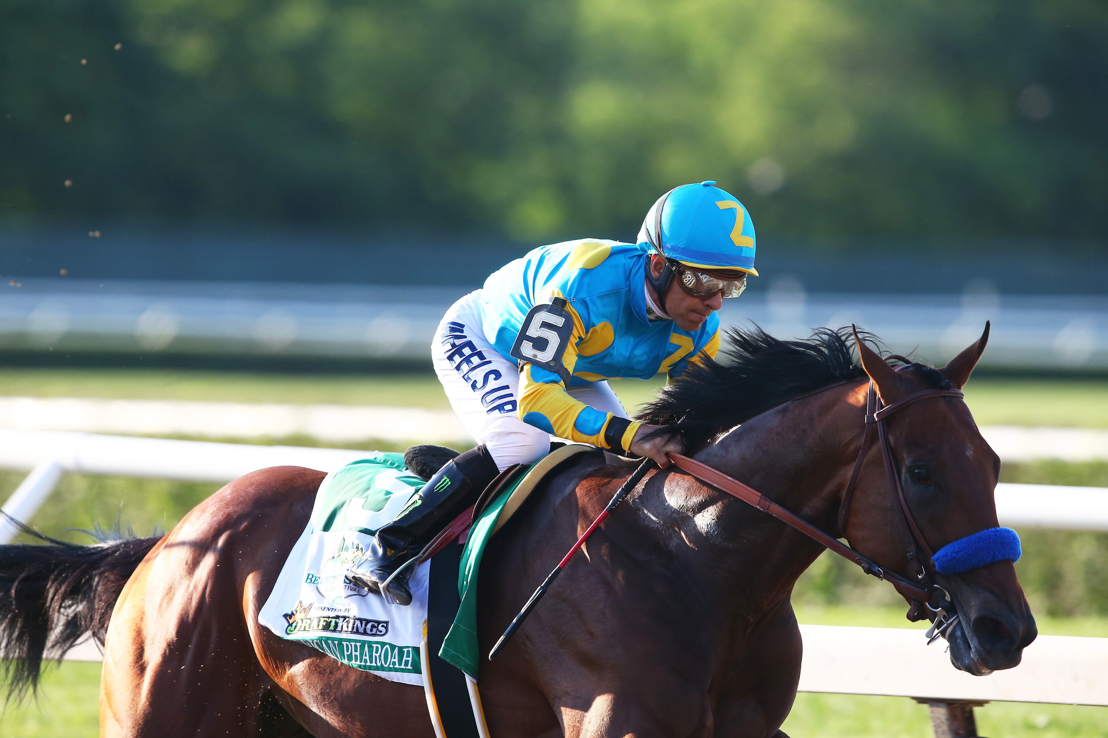 ELMONT, NY - JUNE 06: American Pharoah #5, ridden by Victor Espinoza, leads the field out of the fourth turn during the 147th running of the Belmont Stakes at Belmont Park on June 6, 2015 in Elmont, New York. (Photo by Elsa/Getty Images)