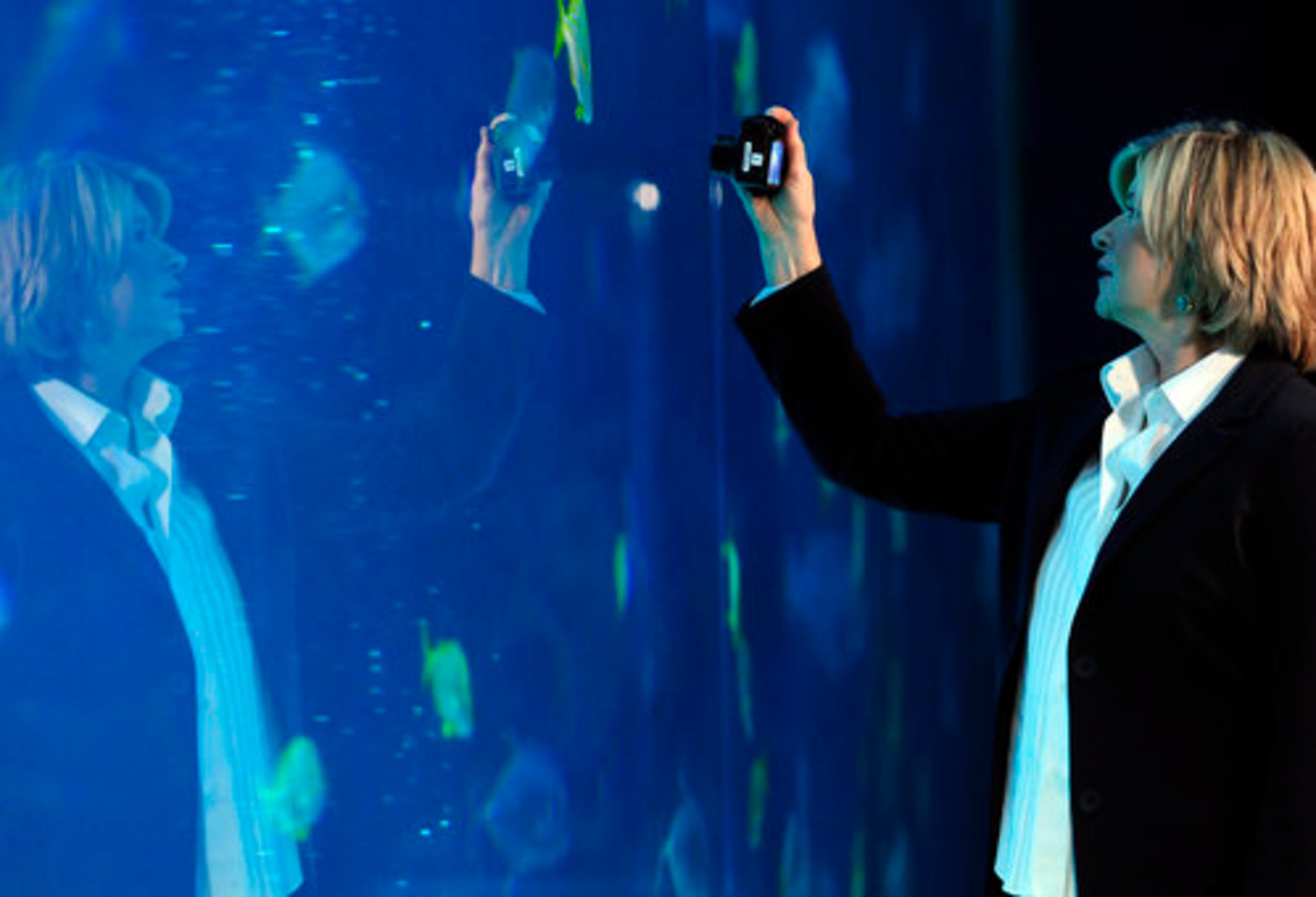 Stewart snaps photos of some of the fish. Aside from the book-signing, she was in town to film a television segment at the aquarium.