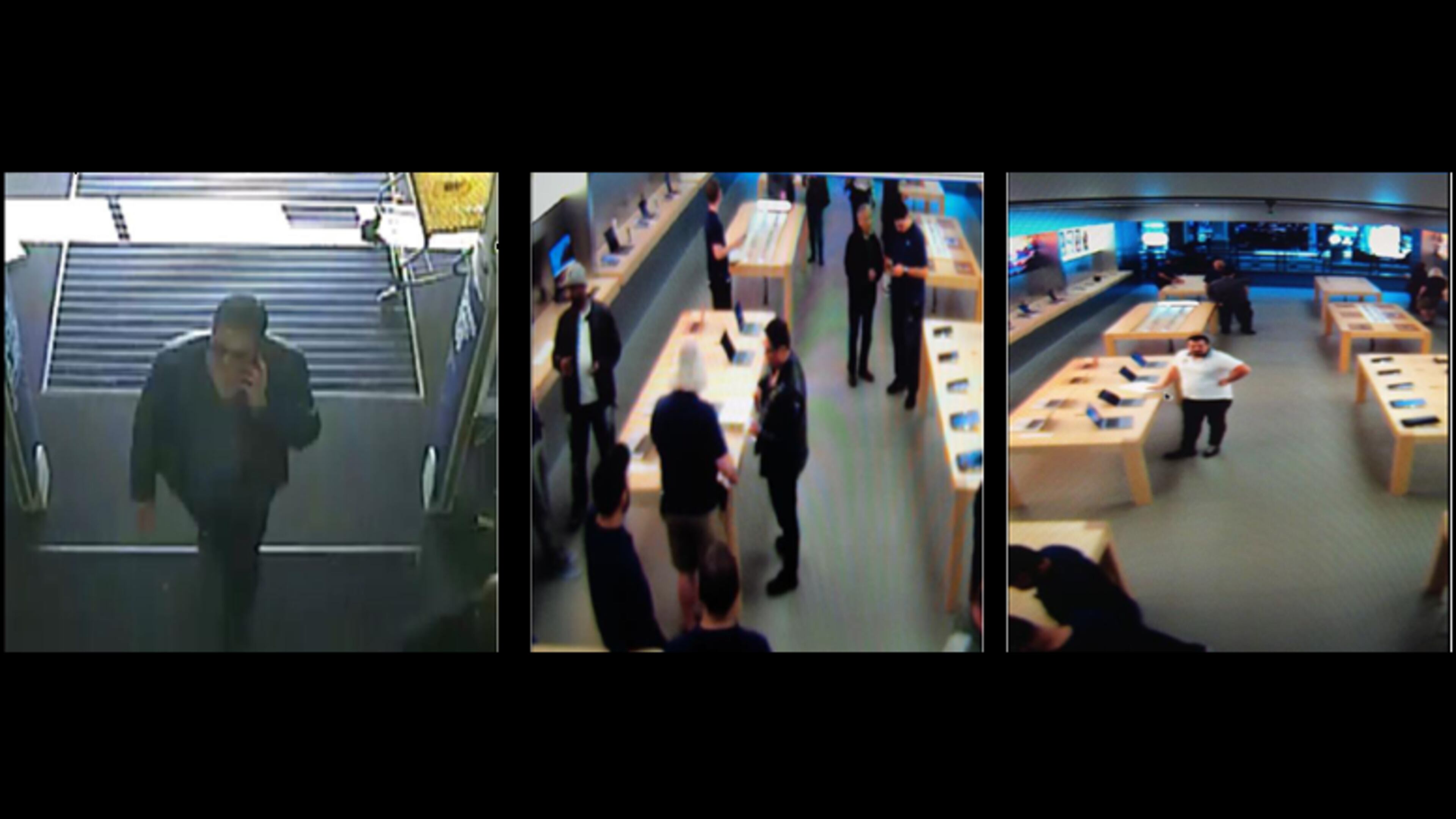 Gwinnett County police are searching for two suspects in a credit card theft and fraud case.