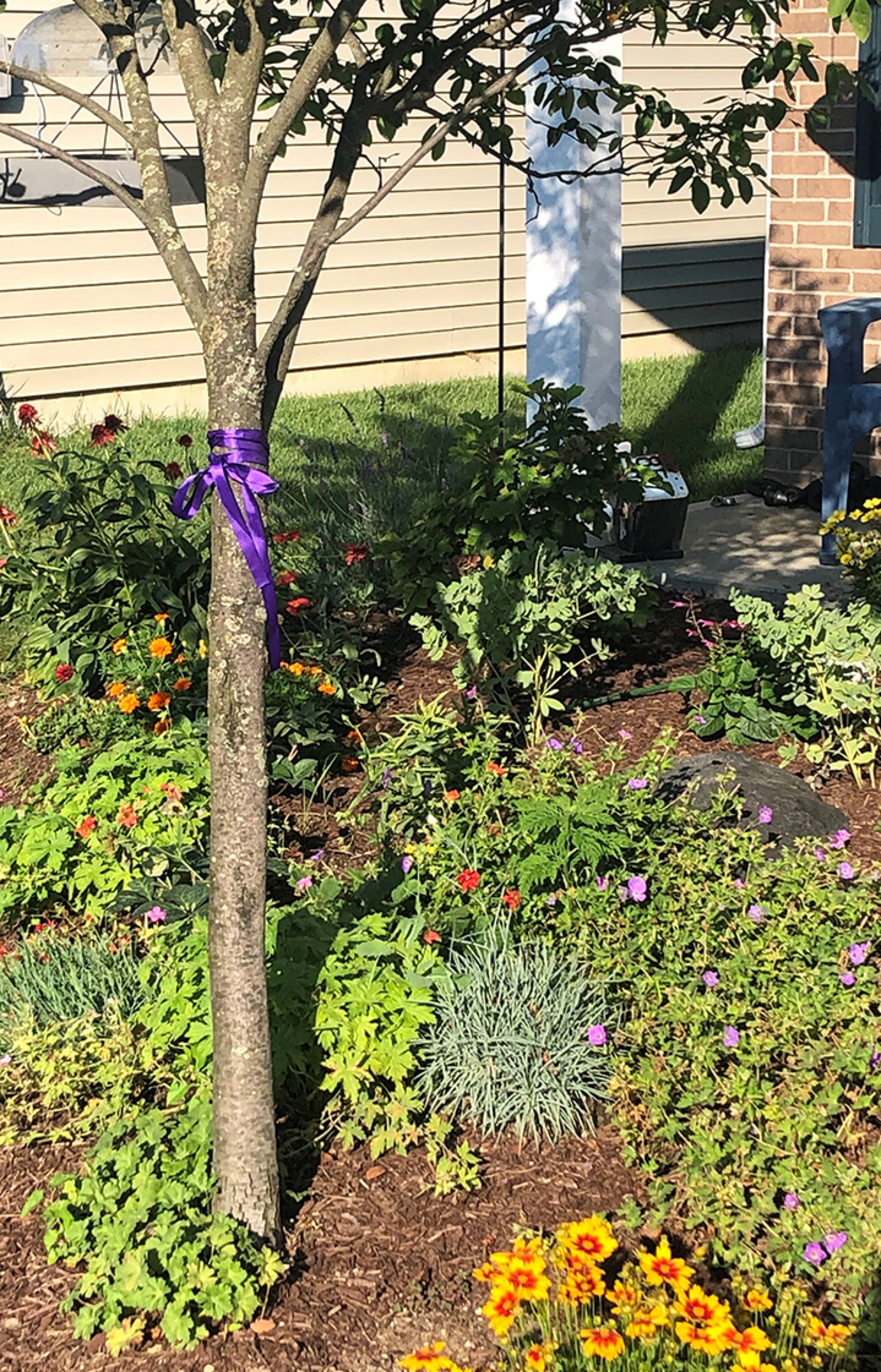 From Ann Stewart. Fishers, Indiana