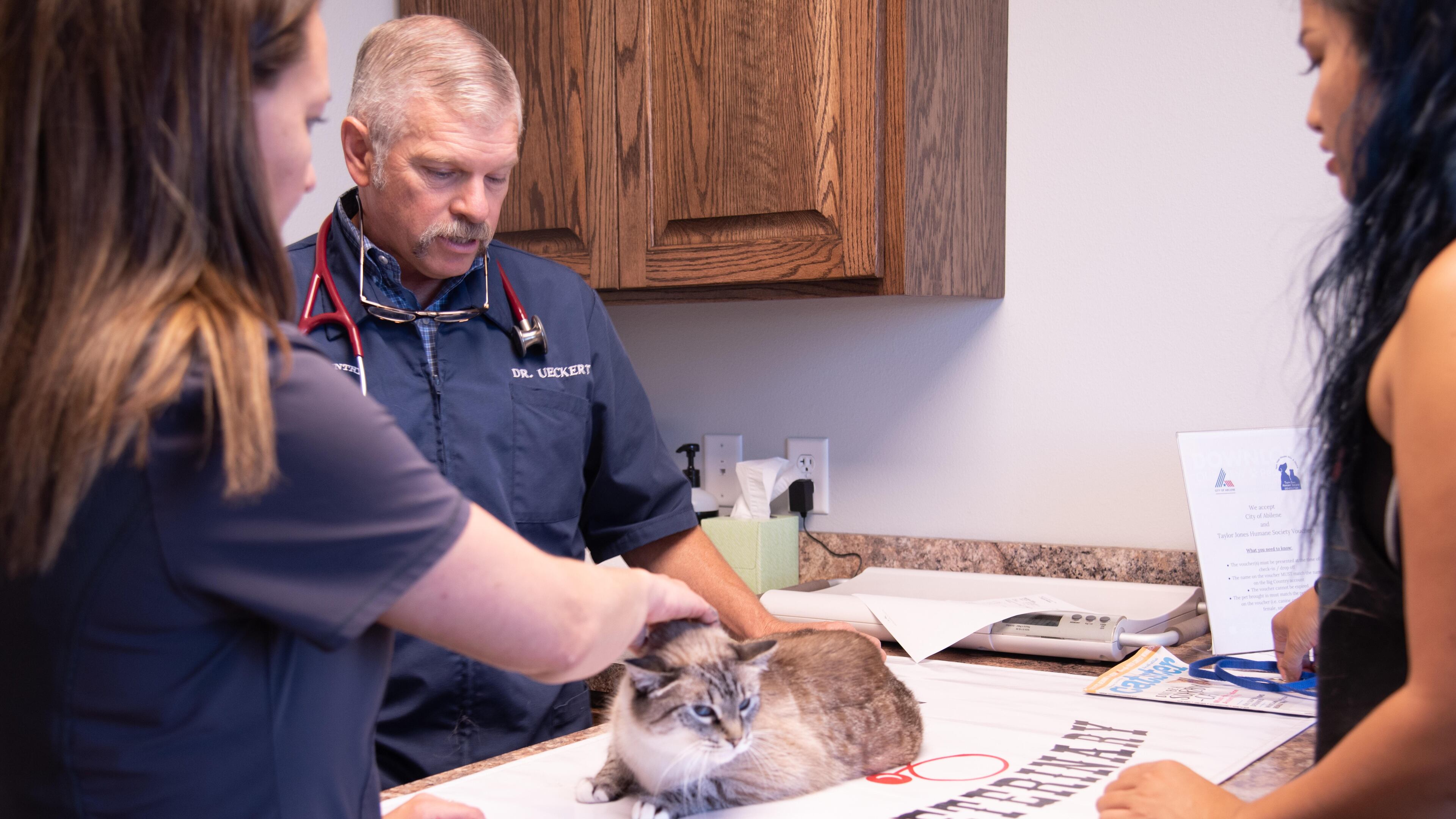 This photo provided by the Texas Veterinary Medical Association shows veterinarian Russell Ueckert treating a cat at his clinic in Abilene, Texas, in August 2019. (Abel Amendare/Texas Veterinary Medical Association via AP)