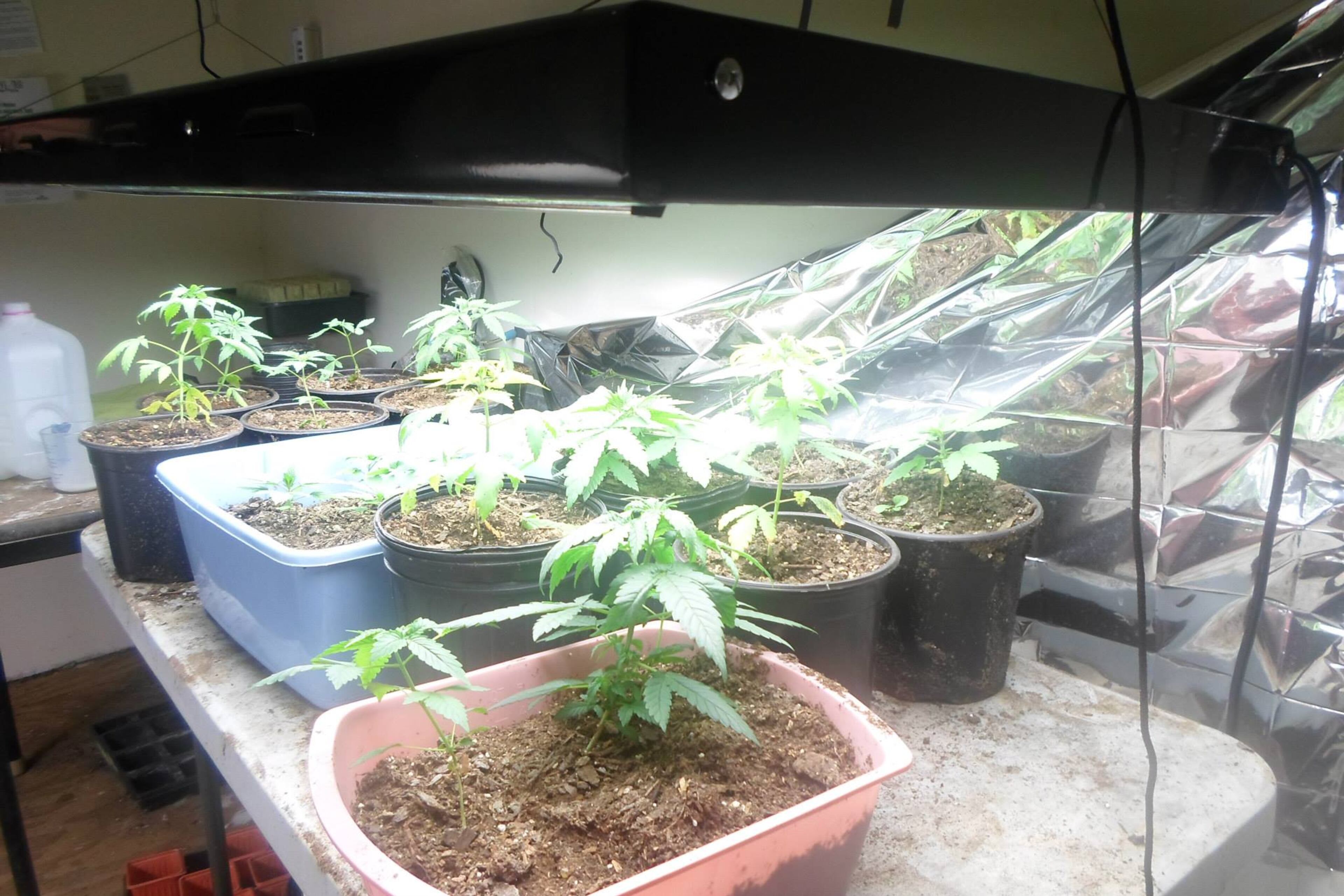 From the Marion County Sheriff’s Office Face Book site: “On January 1, 2014 deputies responded …to a possible Marijuana grow house. Deputies were able to see the plants inside the garage area and notified the Drug Task Force. The Drug Task Force obtained a search warrant for the location and 225 Marijuana Plants were located on the property. The property owner stated that he rents that location to a man named “Jason” but the investigation revealed that “Jason” is Aubrey Lee Price.”