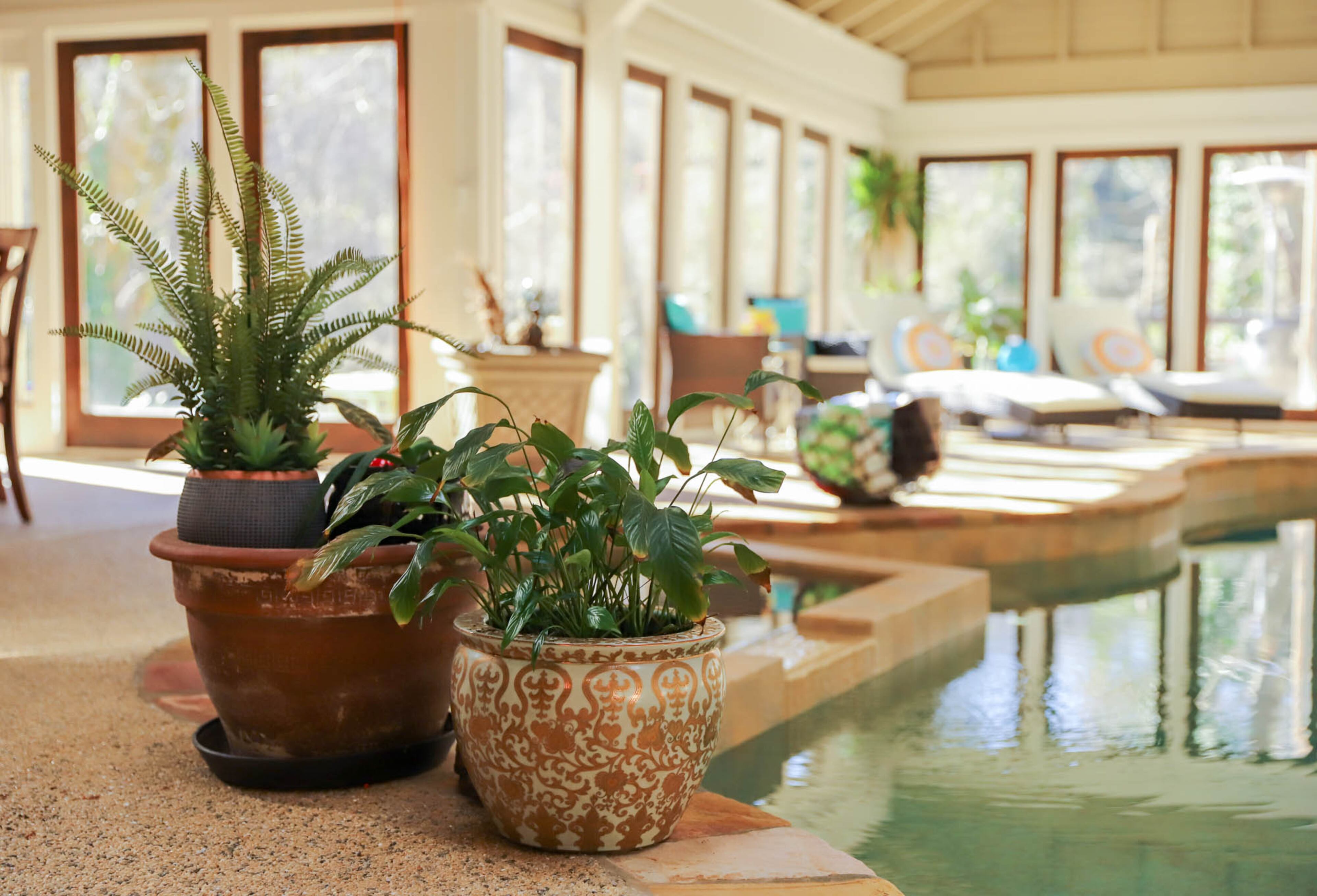 The pool room is easy to maintain since it's indoors, said Sugandha Rosenhaft, while her use of plants gives it the feel of an outdoor oasis. She shops for greenery at Pike Nurseries, Lowe's and The Home Depot.