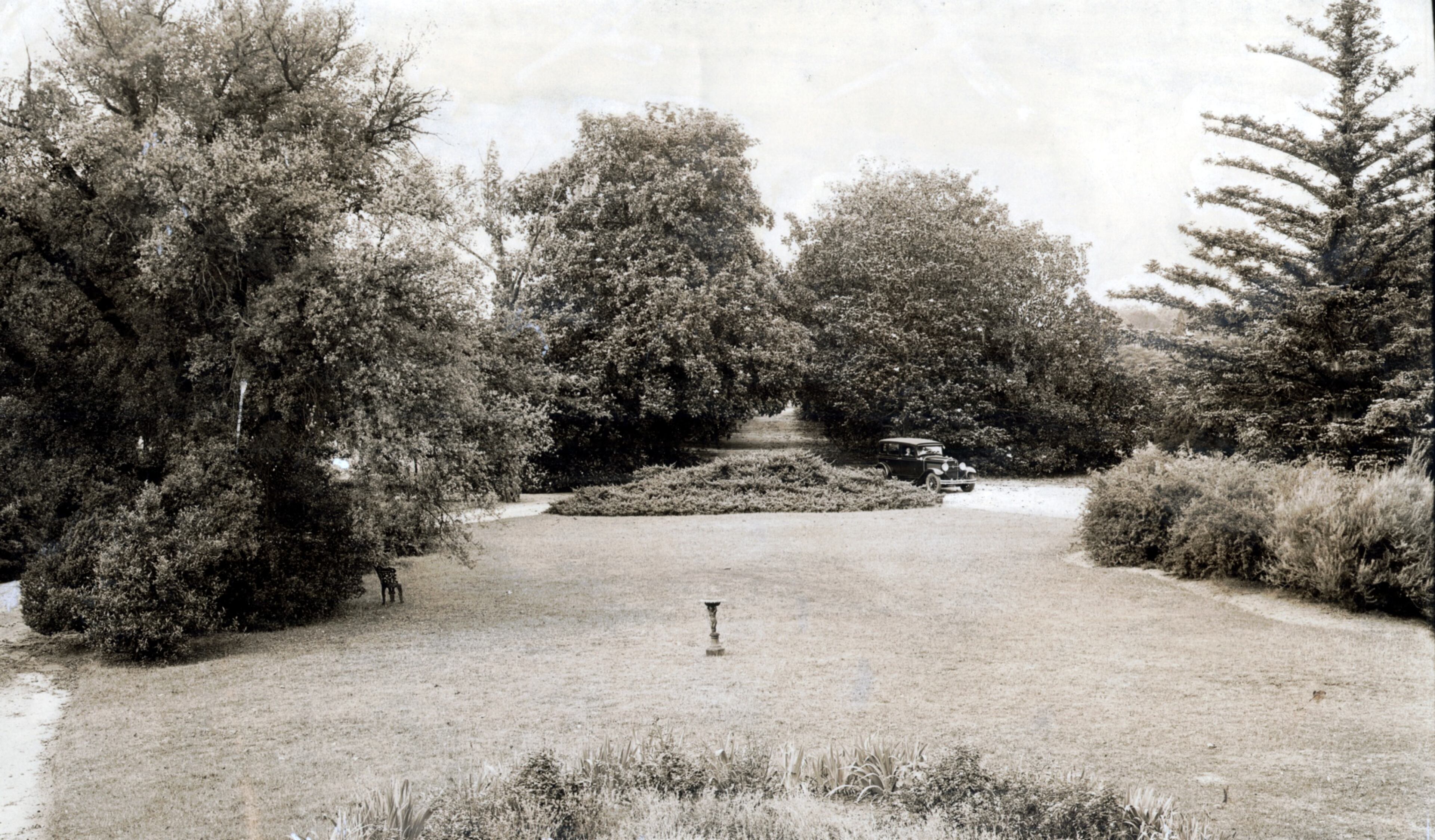Original 1930s caption: "A section of the famous golf course to be laid out at 'Fruitlands' at Augusta, Ga., under the supervision of Bobby Jones."