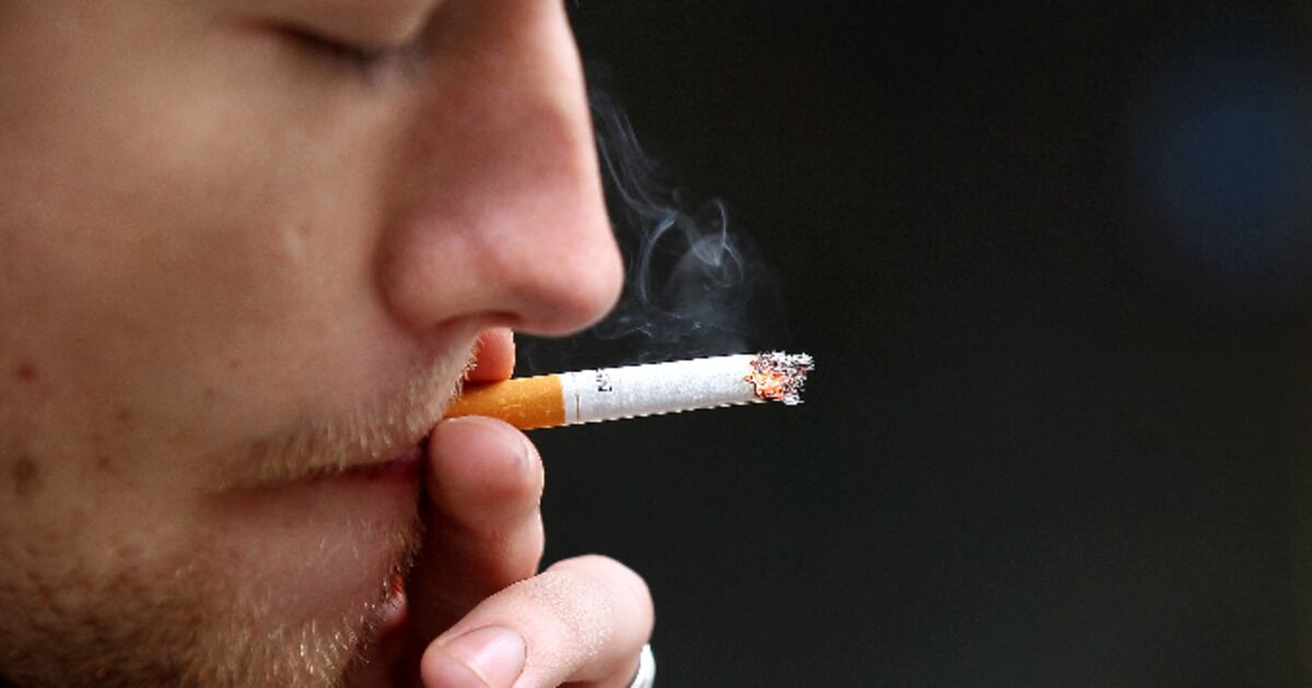 books and tobacco kirkwood highway KIRKWOOD HIGHWAY LIBRARY - Updated May 2026 - 6000 Kirkwood Hwy, Wilmington, Delaware - Libraries - Phone Number books and tobacco kirkwood highway KIRKWOOD HIGHWAY LIBRARY - Updated May 2026 - 6000 Kirkwood Hwy, Wilmington, Delaware - Libraries - Phone Number