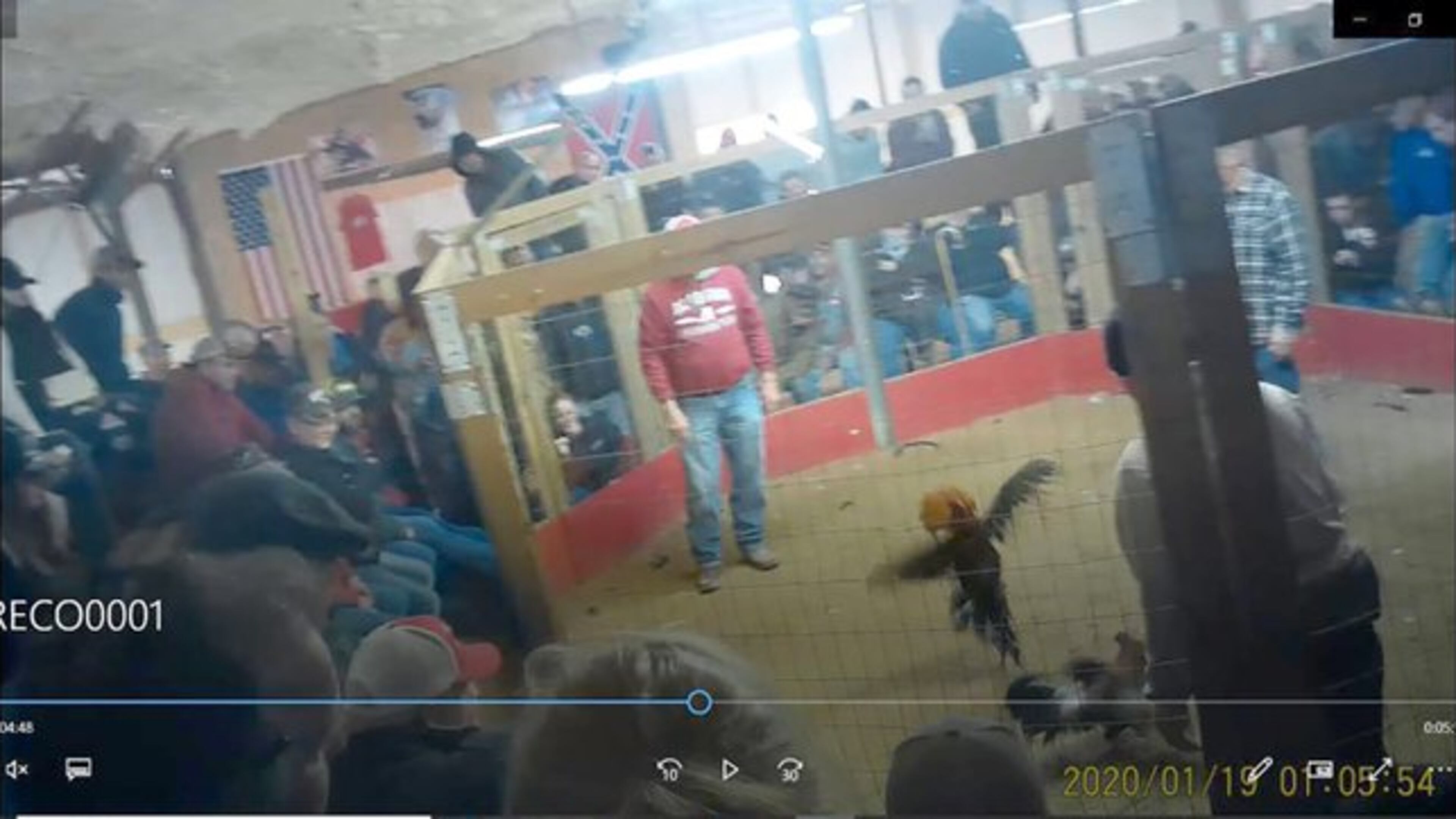 Prosecutors said that up to 178 people could face charges in connection to the large cockfighting ring.