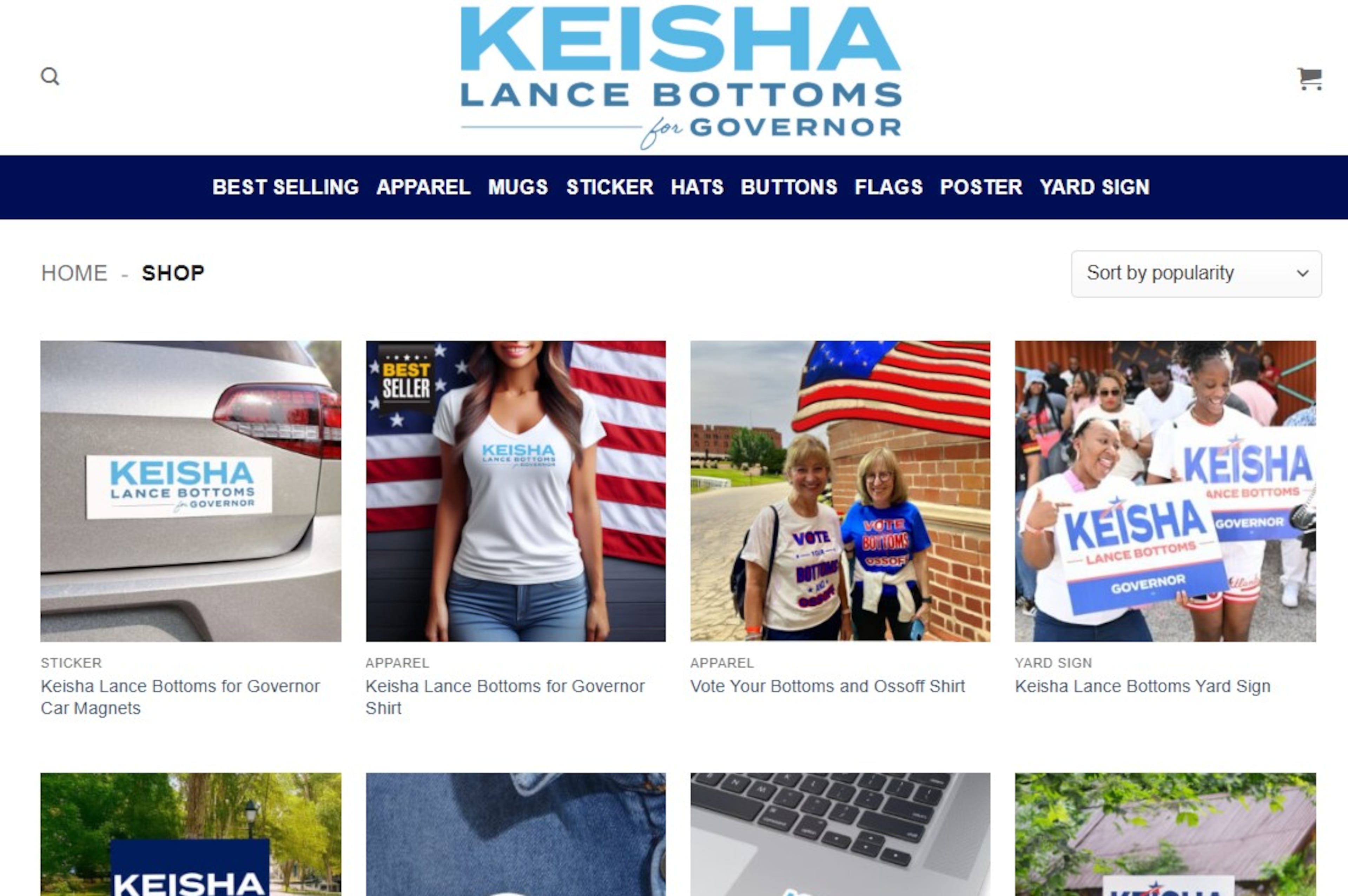 Fake campaign websites