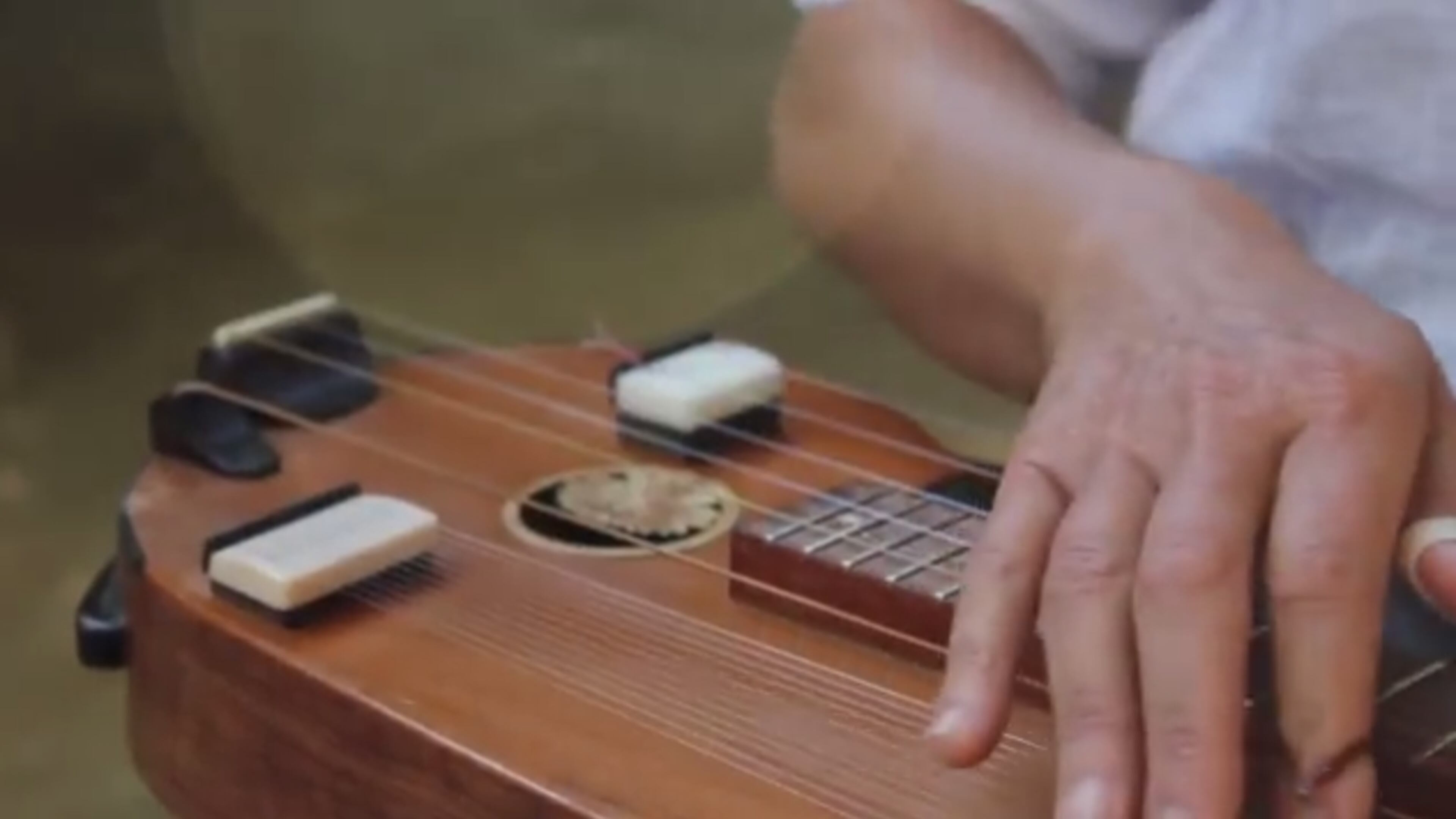 The dulsitar, one of the finalists in the Guthman contest, includes a rank of sympathetic strings and movable frets.