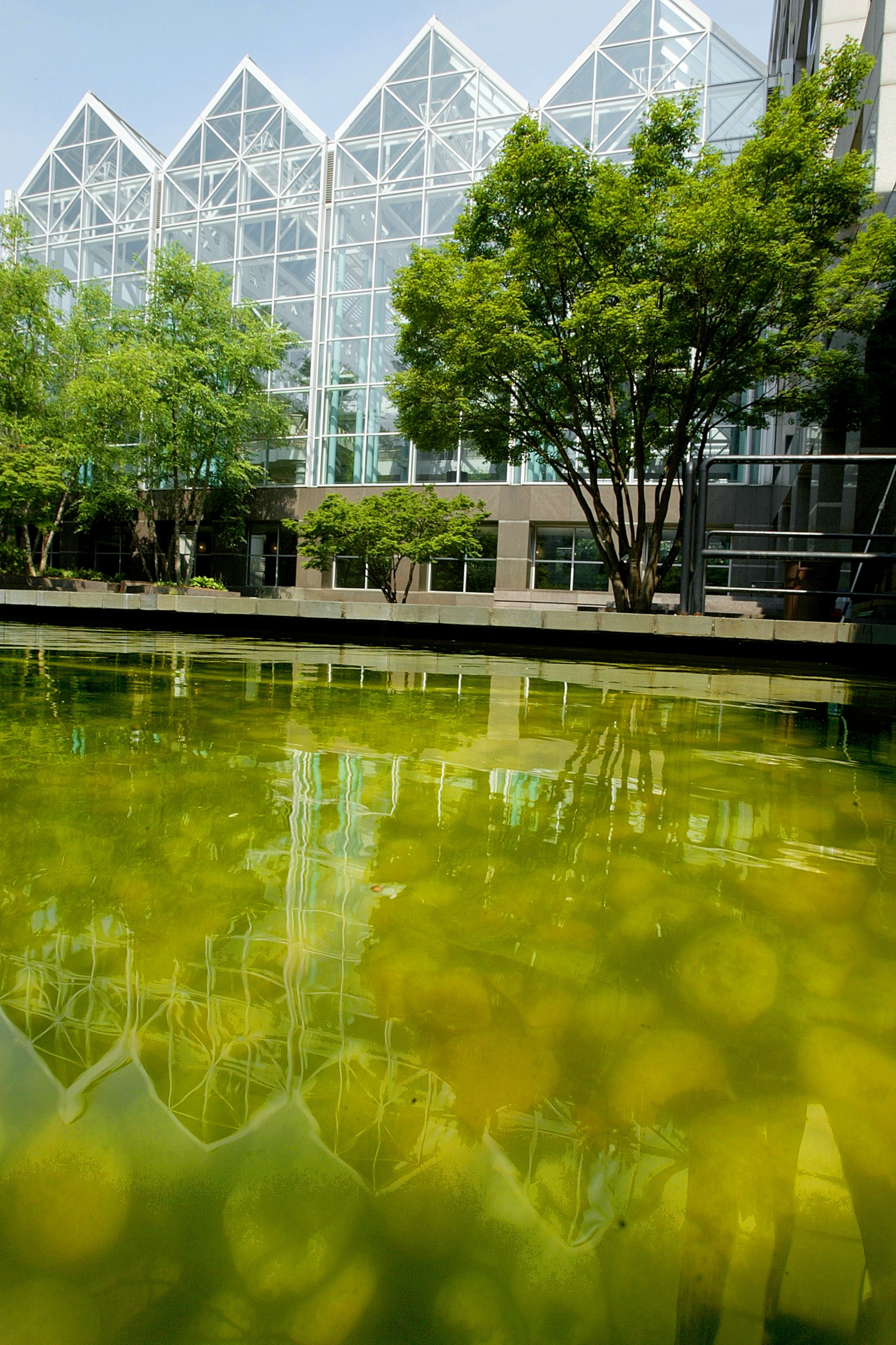 Problems with the Fulton County Government Center have been building for years. In this 2005 photo, the pool and fountain in front of the center are an algae green because of irregular maintenance.