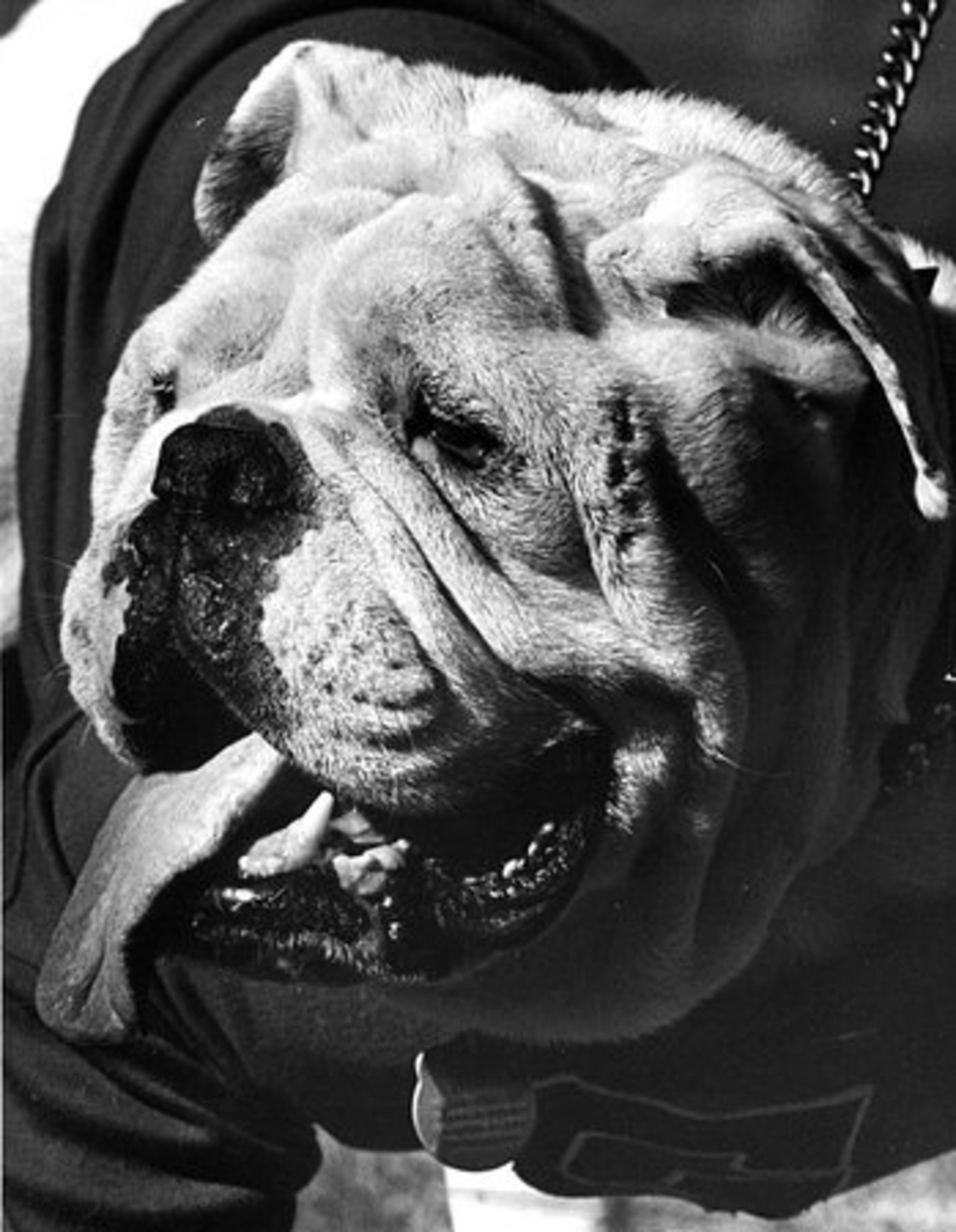 Uga III: 1972-80, 71-32-2