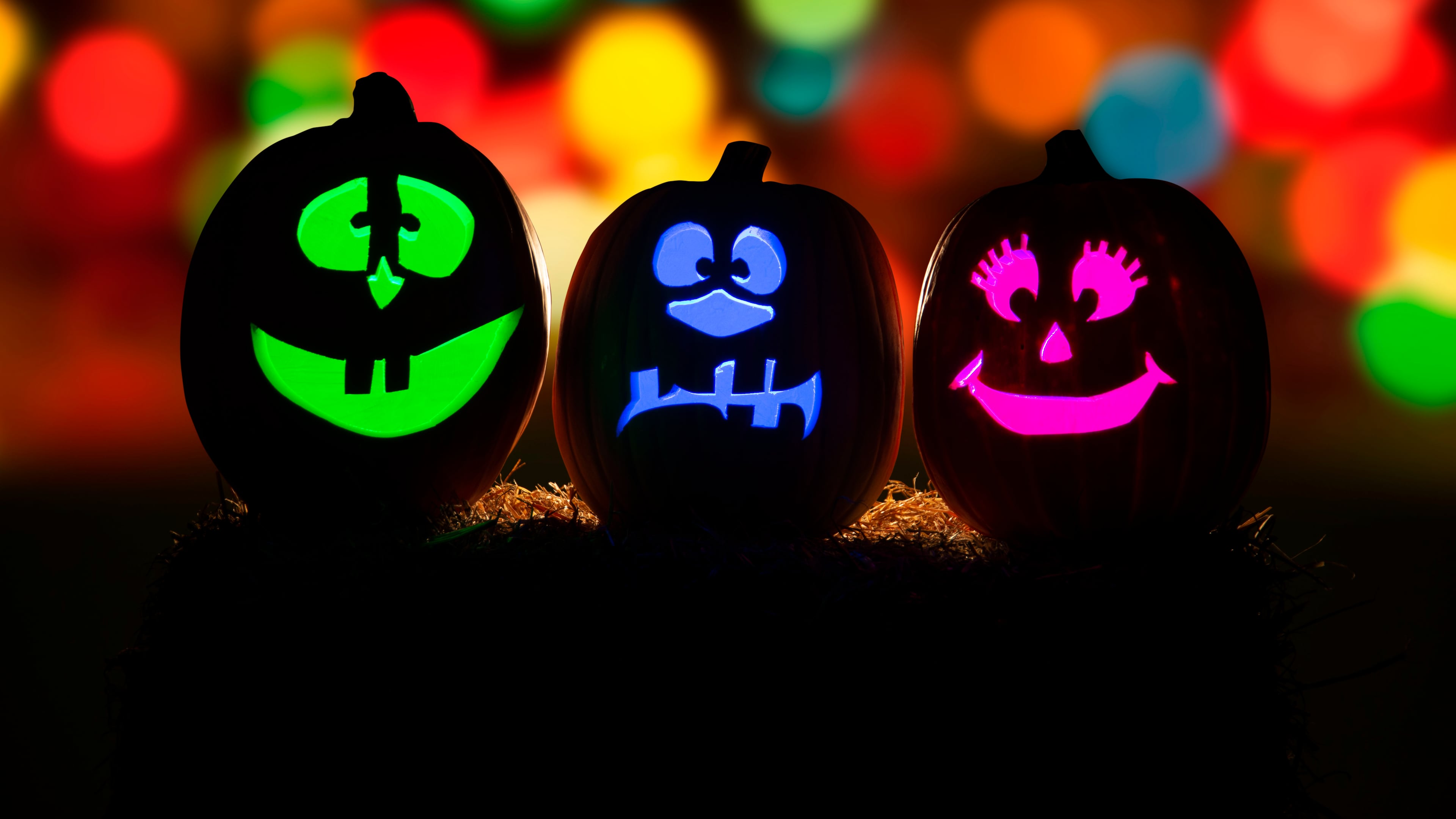 PROVIDED BY STONE MOUNTAIN PARK