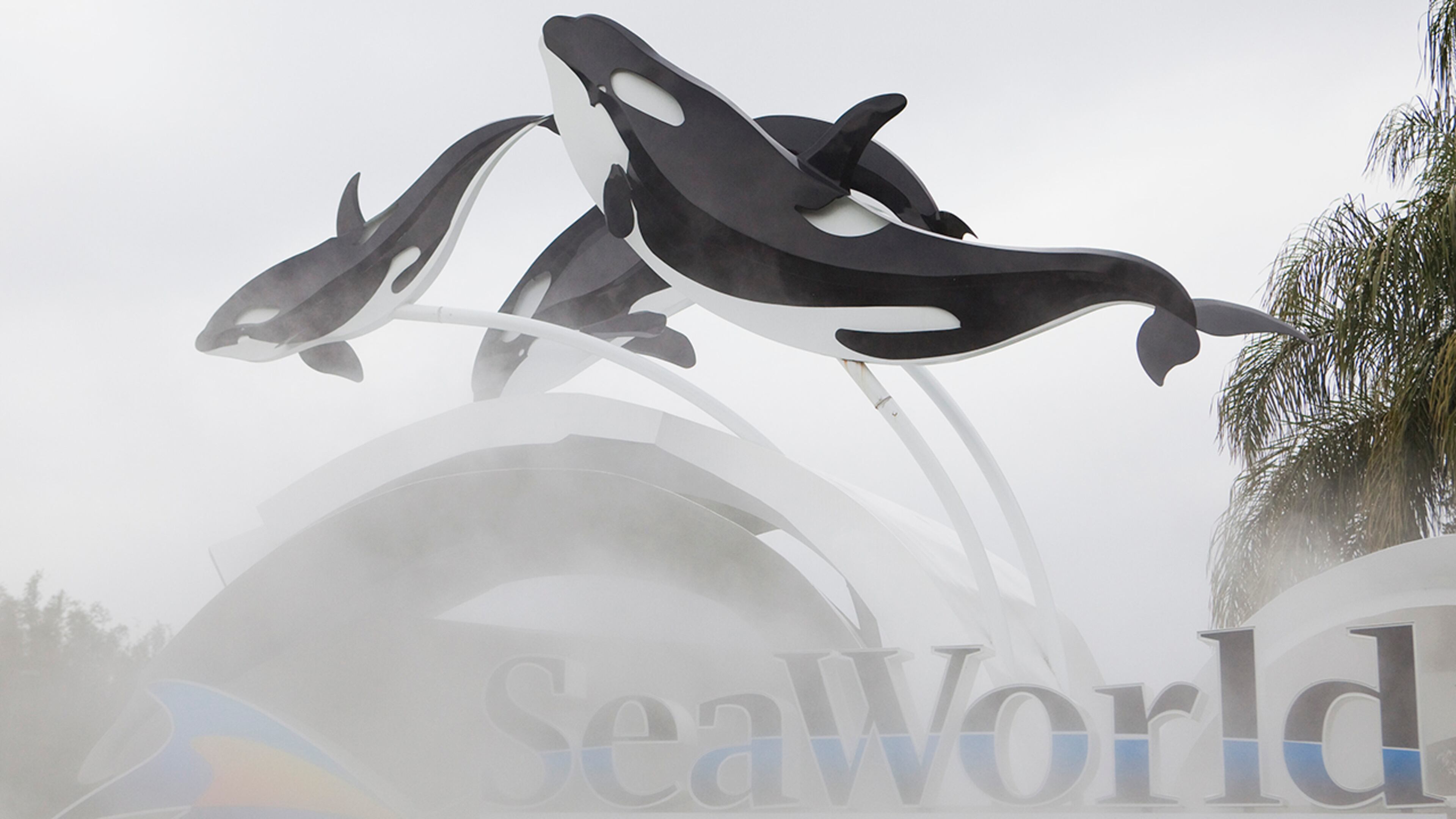 (Photo by Matt Stroshane/Getty Images)