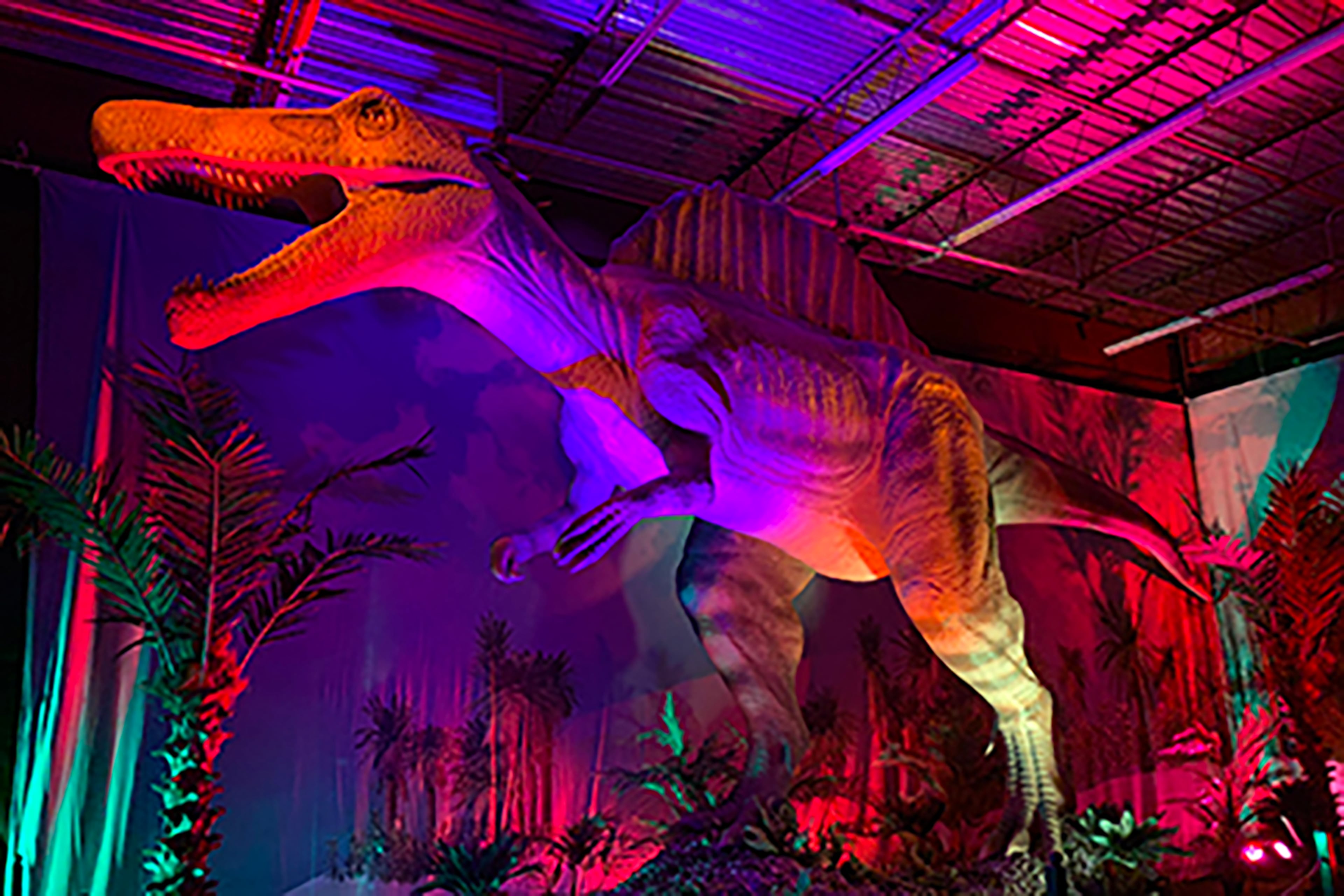 The Spinosaurus at the Dino Safari exhibit at North Point Mall in Alpharetta. RODNEY HO/rho@ajc.com