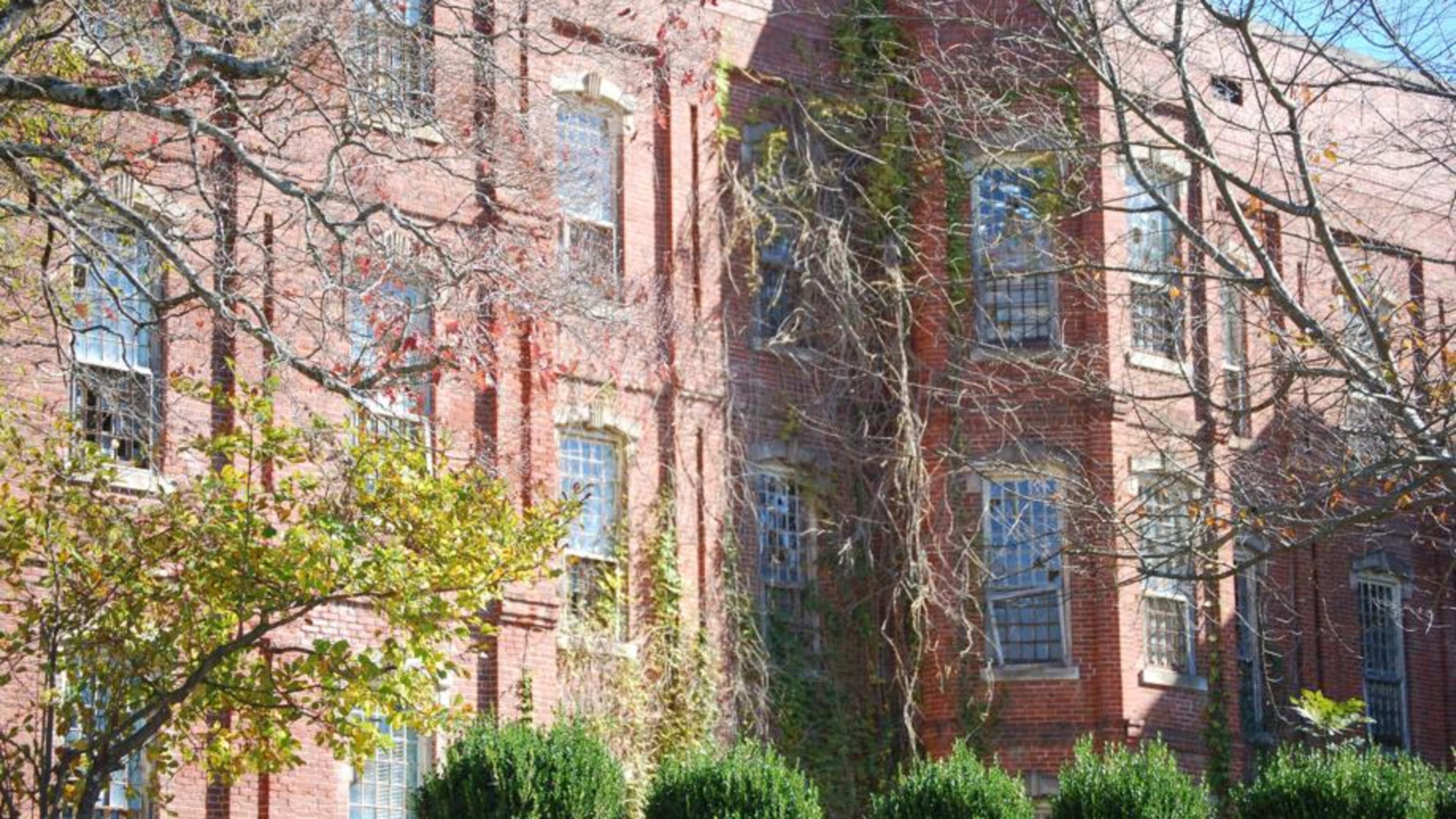 Unkempt vines and weeds crawl up the brick exterior walls of the Walker Building at Central State Hospital in Milledgeville. Central State once housed as many as 12,000 people. Now, the only unit that remains is one for people committed through the criminal justice system.