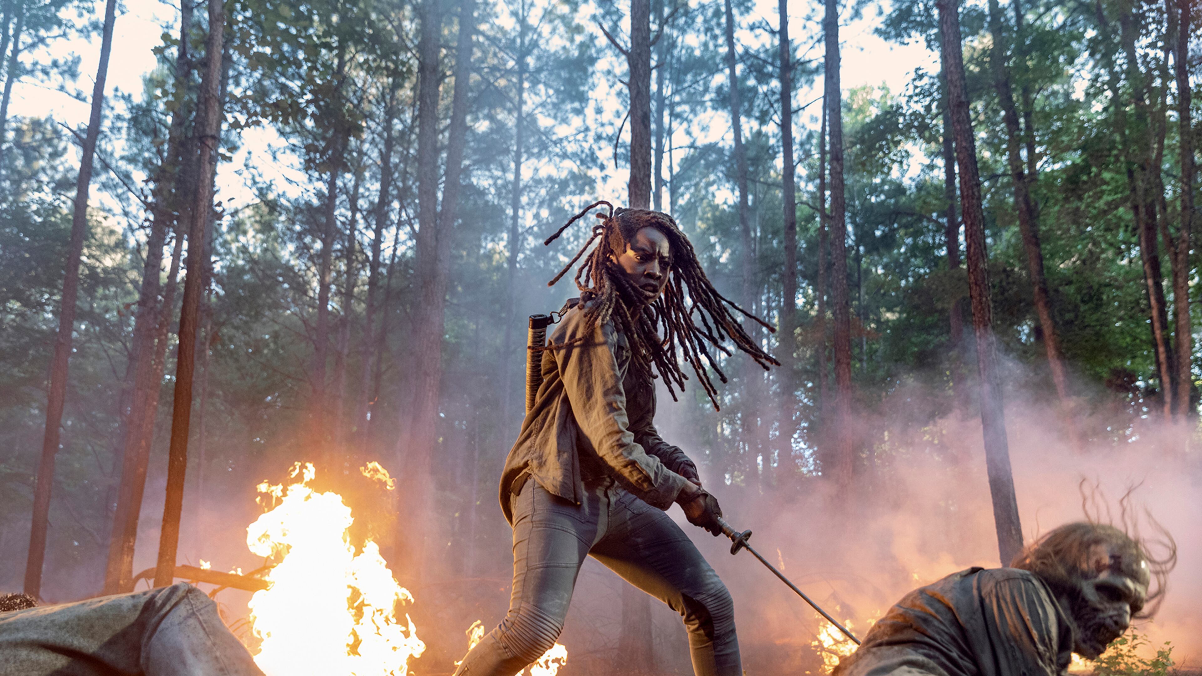 Danai Gurira as Michonne; group - The Walking Dead _ Season 10 - Photo Credit: Jackson Lee Davis/AMC