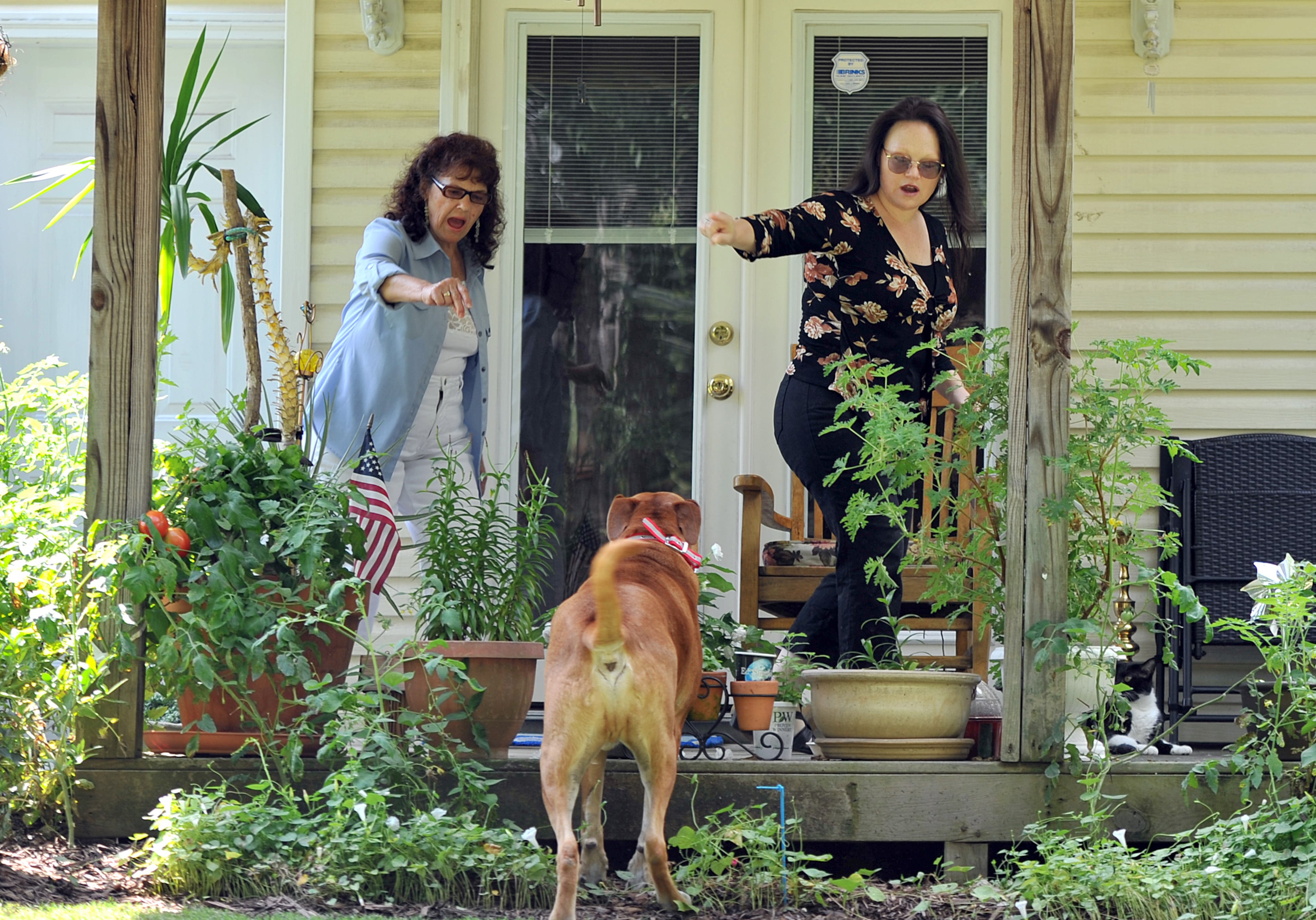 Linda Case (left) and her daughter Trisha Cardillo play with Linda's dog Sonny Boy at their home in Buford on Wednesday, September, 10, 2014. HYOSUB SHIN / HSHIN@AJC.COM